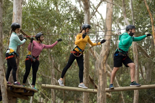 People working together on a ropes course
