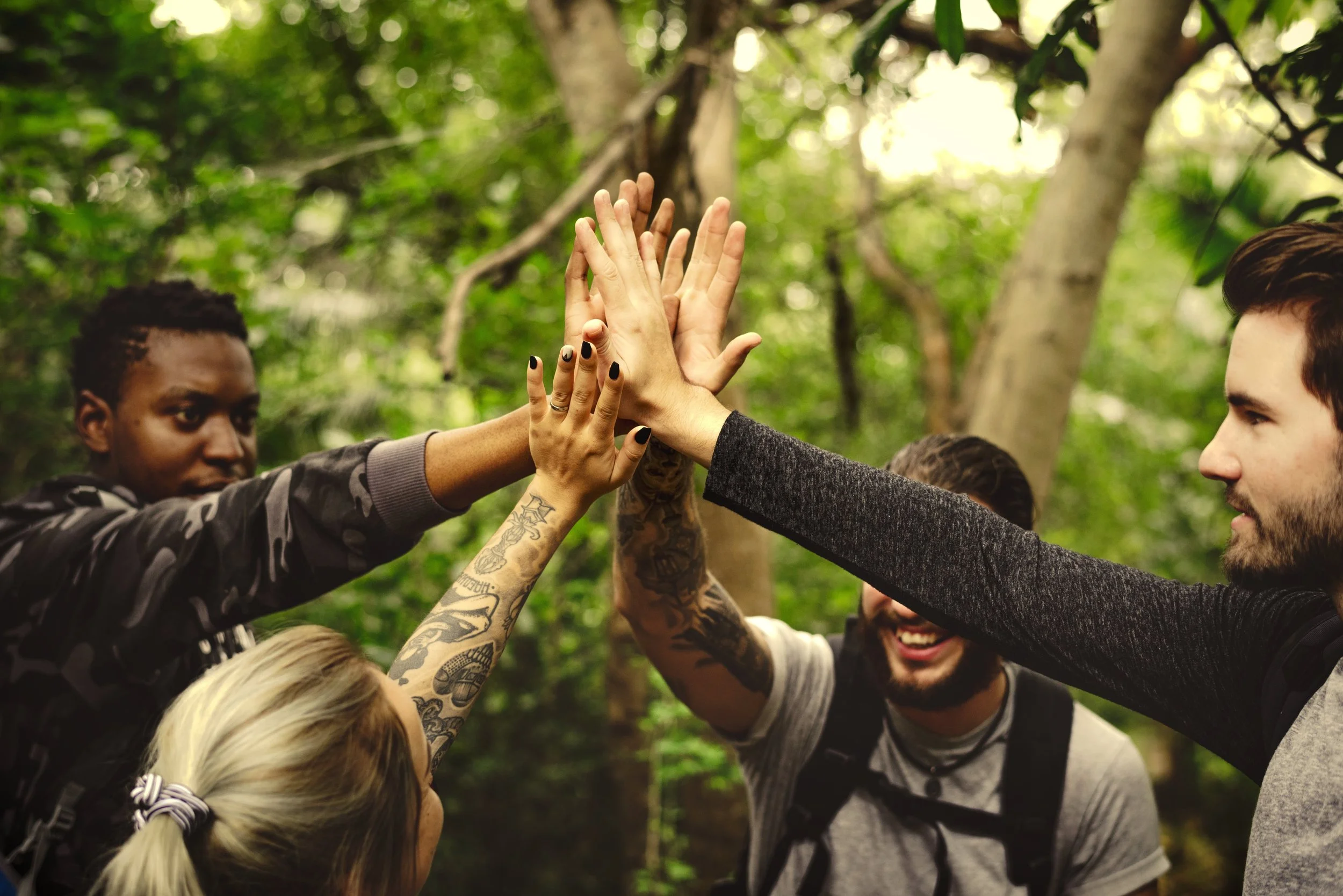 Group of diverse friends giving each other high-five outdoors in a green forest