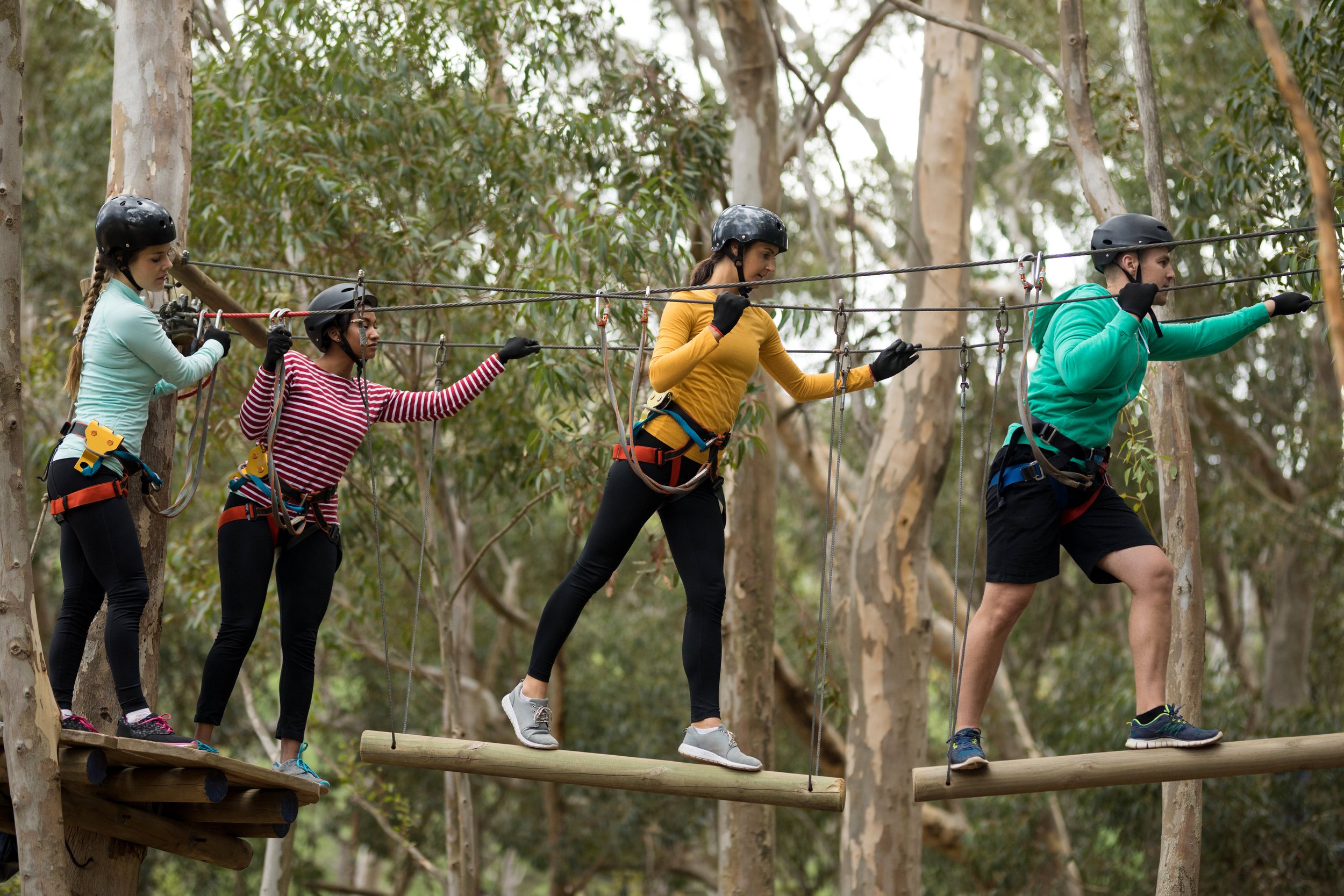 Four people wearing helmets and harnesses walk on a suspended wooden bridge in a forest.