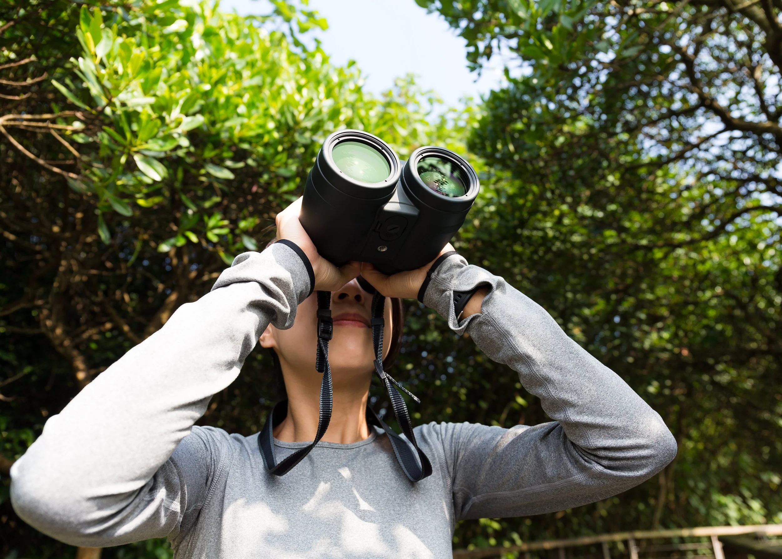 A person using binoculars outdoors among green trees, viewed from below.