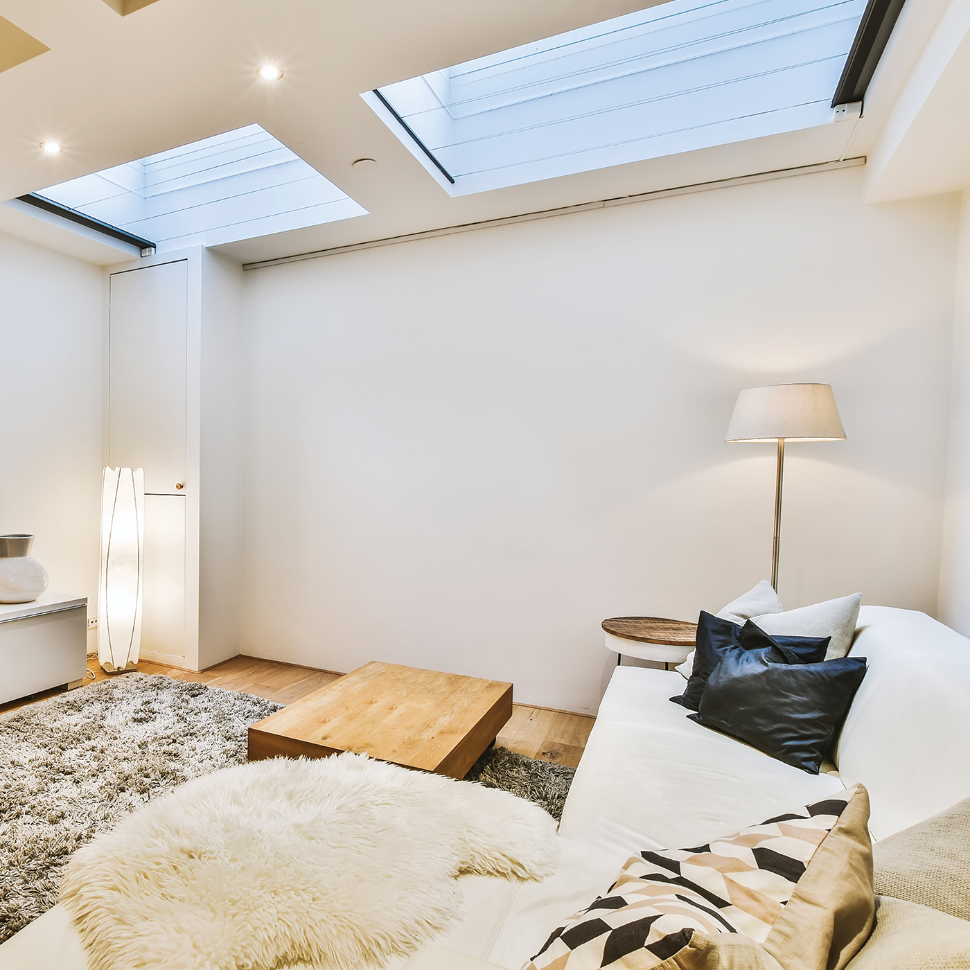 Bright living room with two skylights, a beige sofa with black and patterned cushions, a floor lamp, a wooden coffee table, a cream shag rug, and minimal decor.