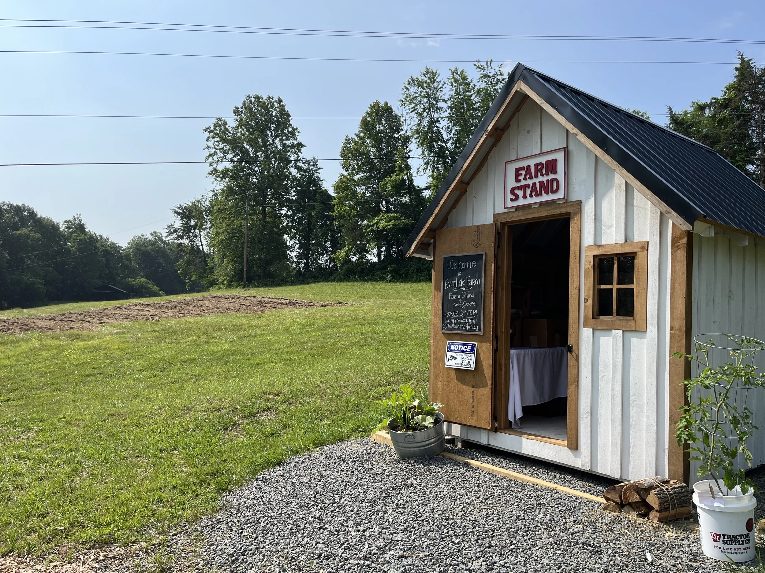 Top 10 Best-Selling Items at Our Virginia Farm Stand (What Actually Sold the Most Last Year)
