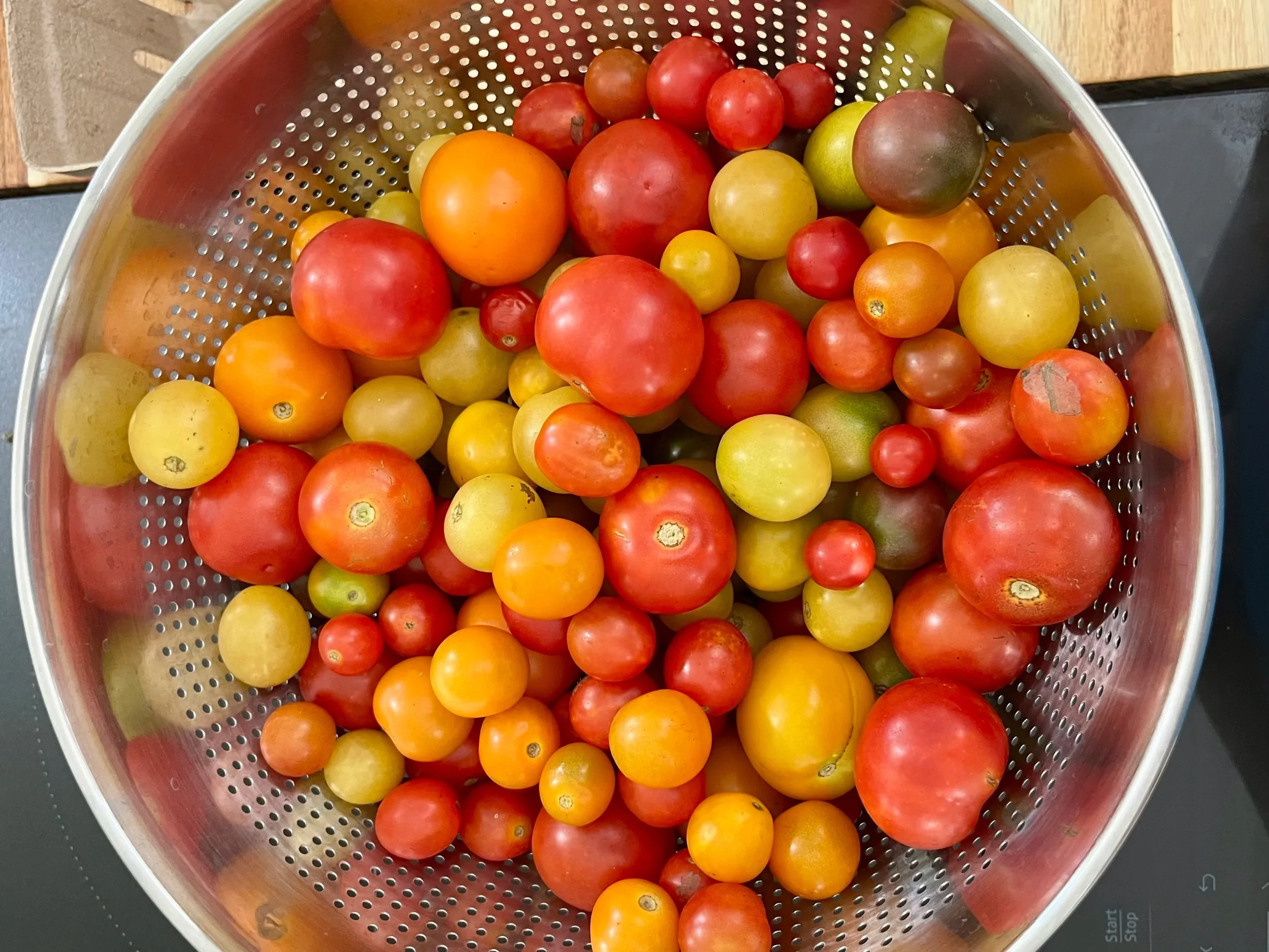 The Tomato Varieties I’m Growing for Our Farm Stand This Year (And Why These Are My Favorites)