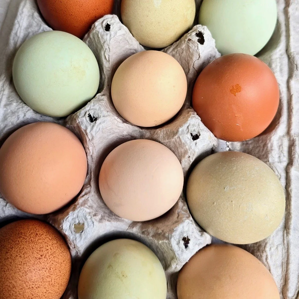 A carton of assorted colored eggs in shades of white, brown, green, and pink, arranged in a grid.