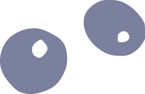 Two olives with pimentos on a white background.