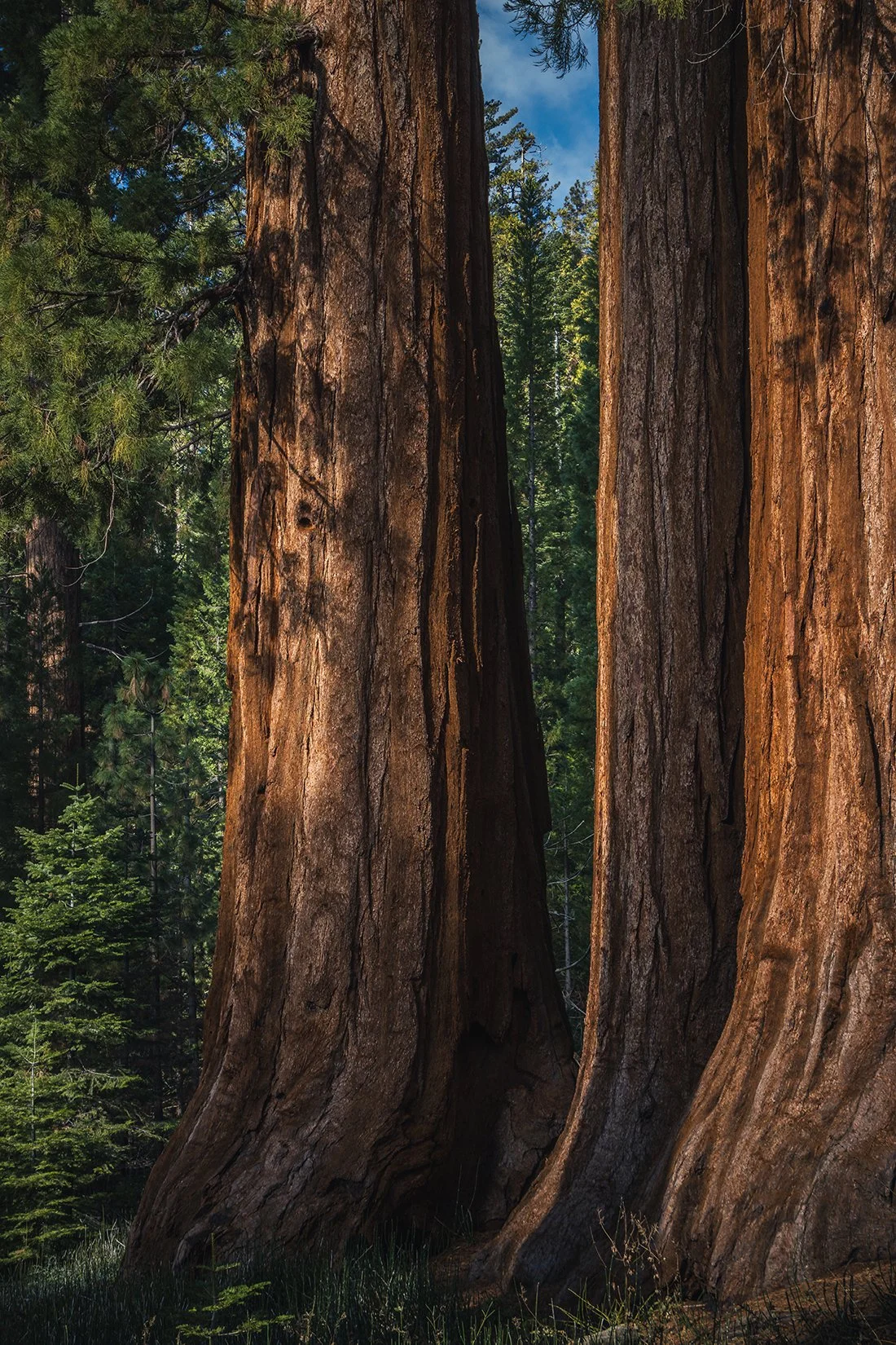 IMG_0037-Edit copy.jpg