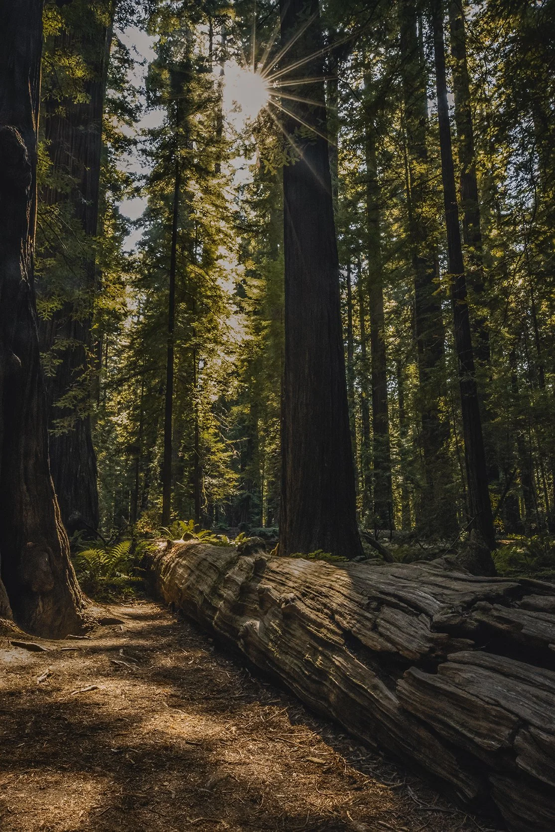 IMG_0228-Edit-Edit copy.jpg