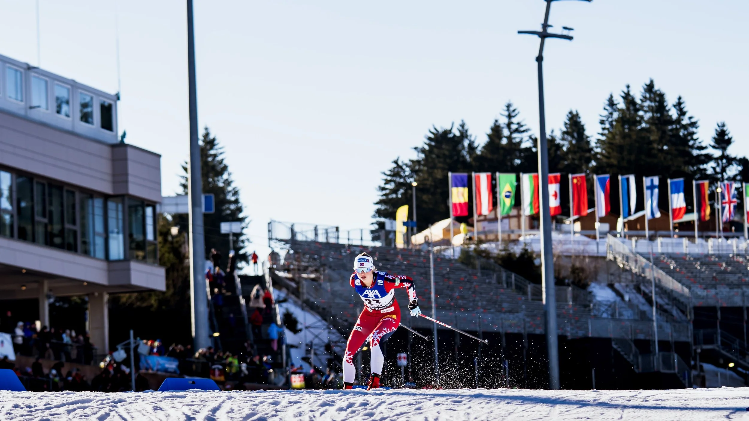 1-DSC06363.jpg