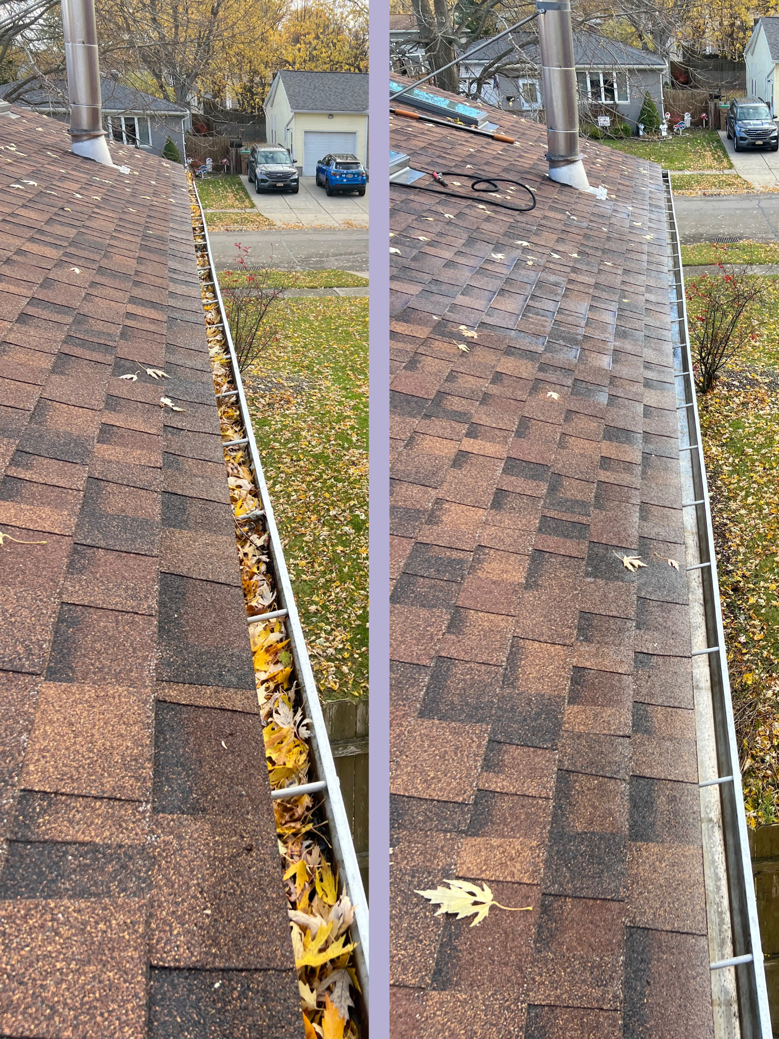 Untitled design (49).png