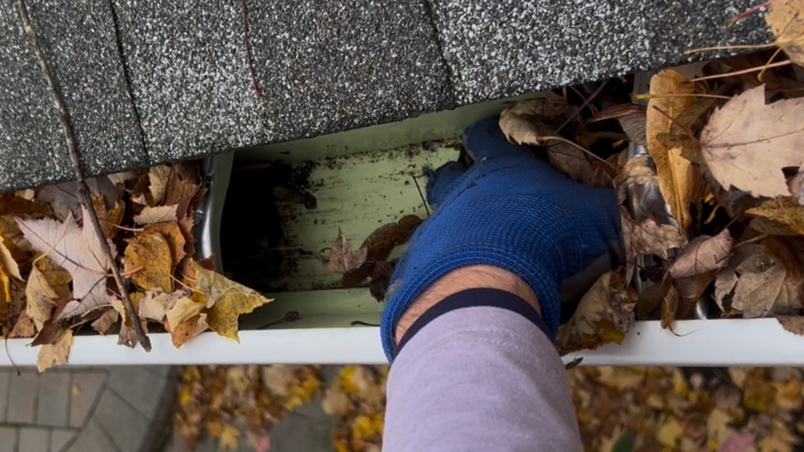 Gutter Cleaning
