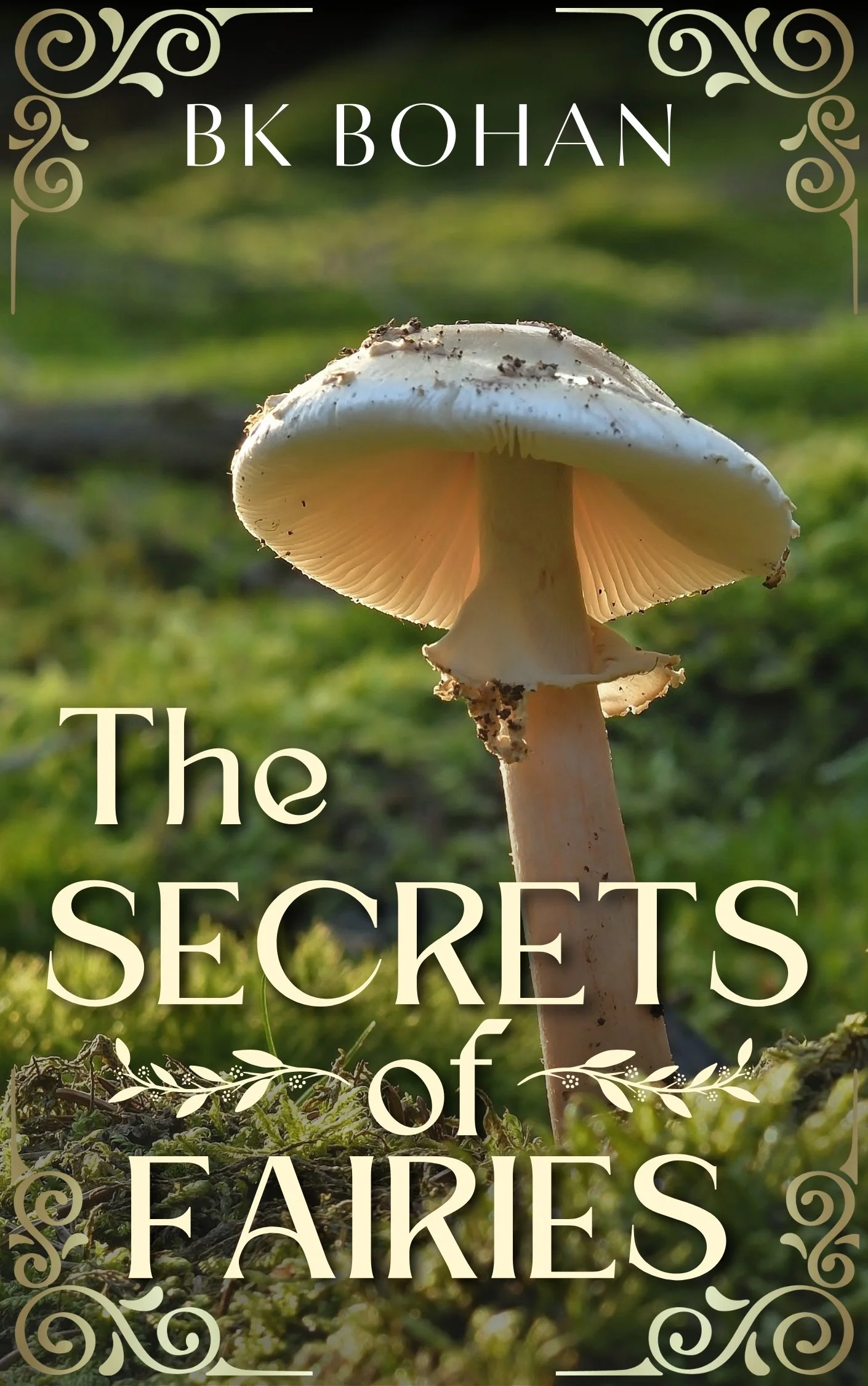 Book cover for The Secrets of Fairies