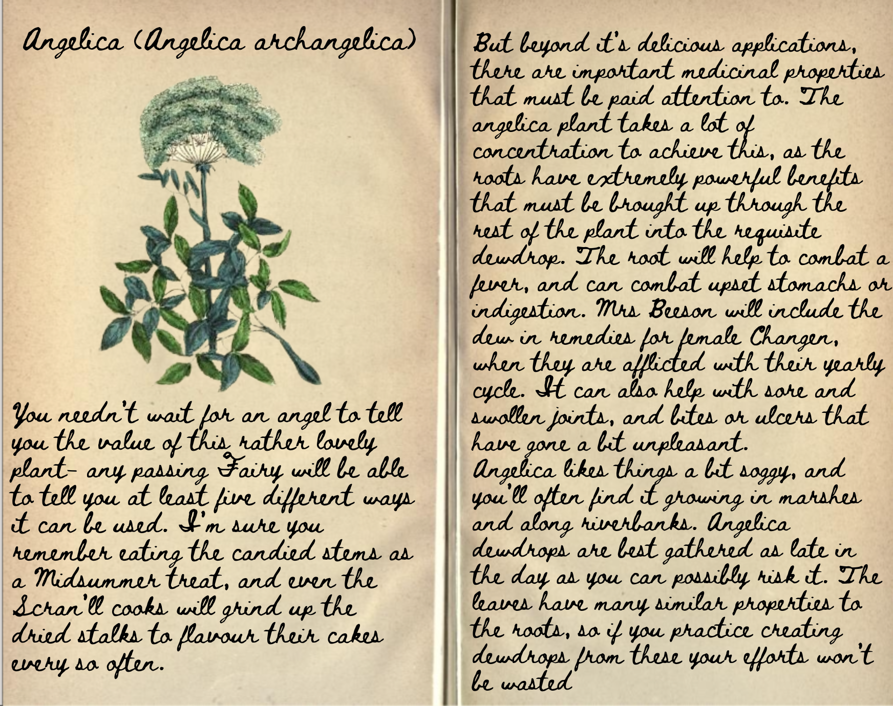Black Amber Pieter Jarble Journal Entry Angelica