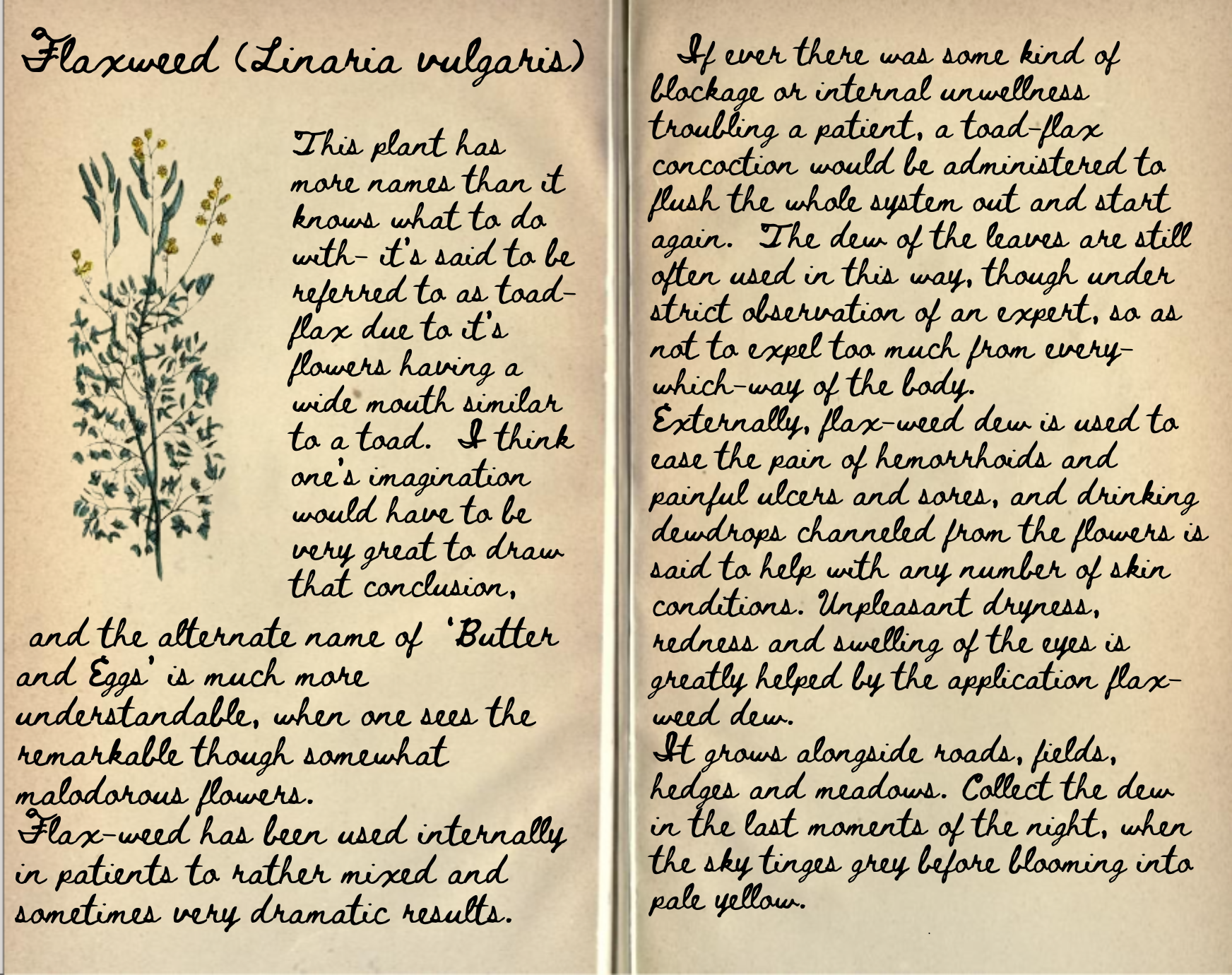 Black Amber Pieter Jarble Journal Entry Flaxweed