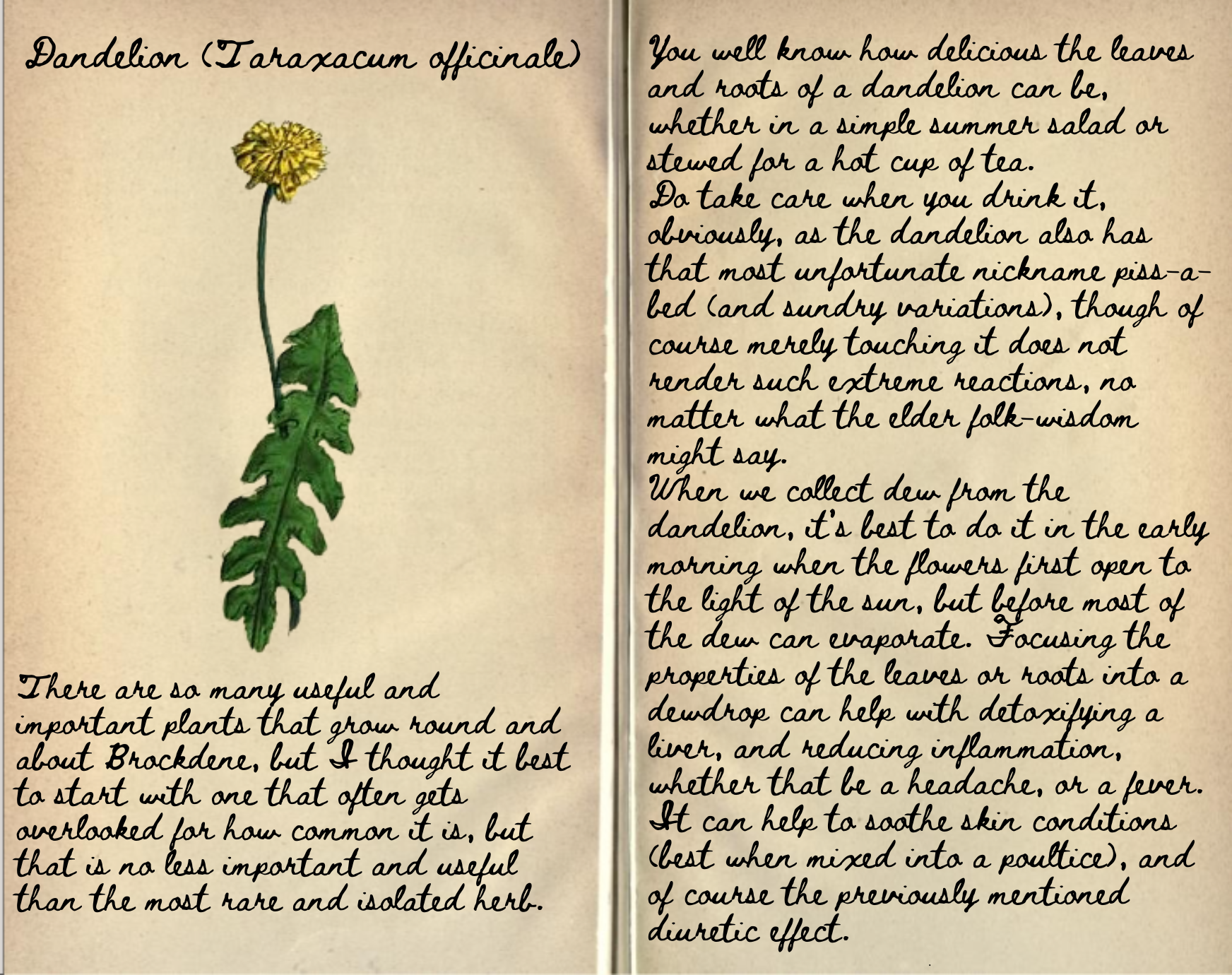 Black Amber Pieter Jarble Journal Entry Dandelion
