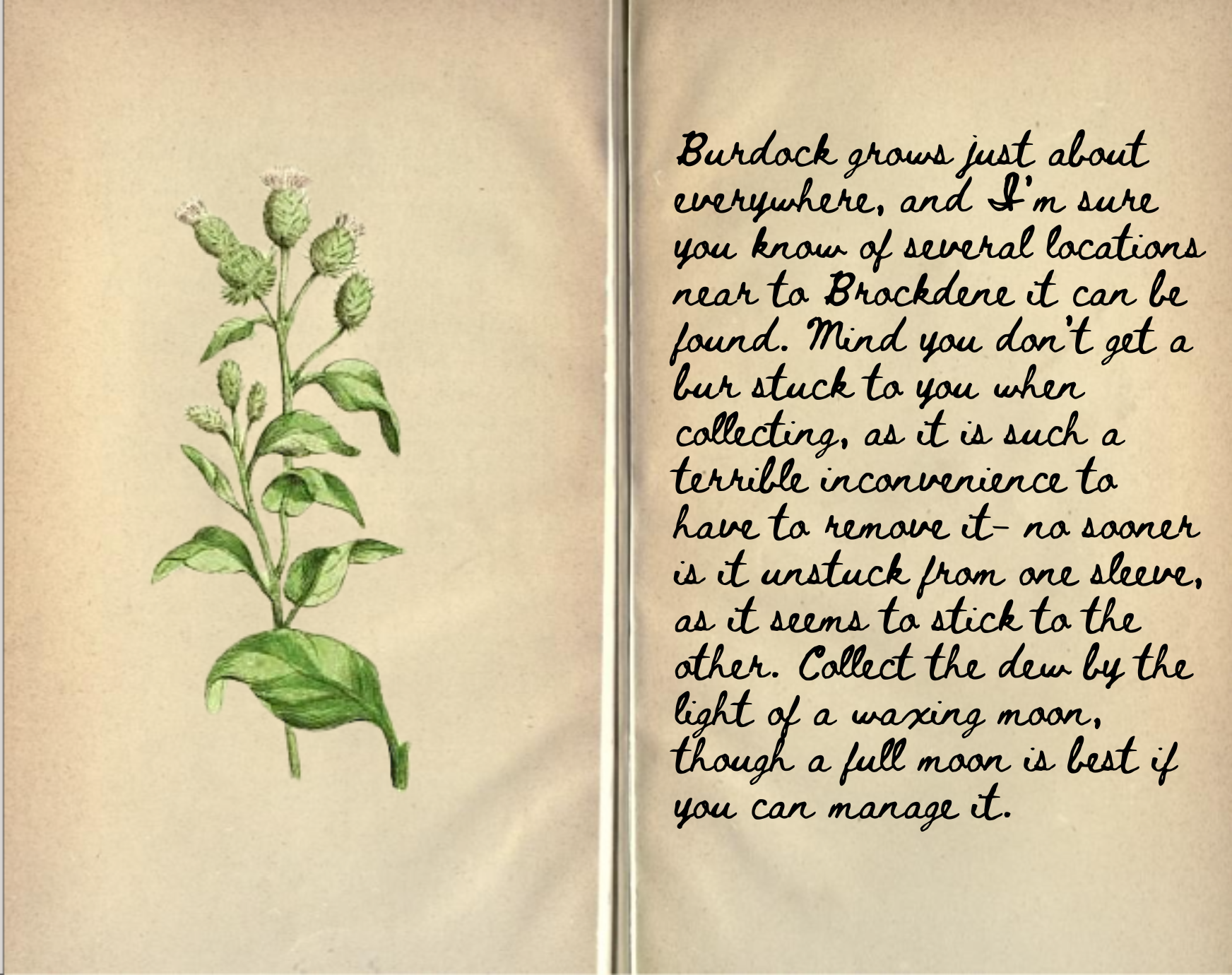 Black Amber Pieter Jarble Journal Entry Burdock