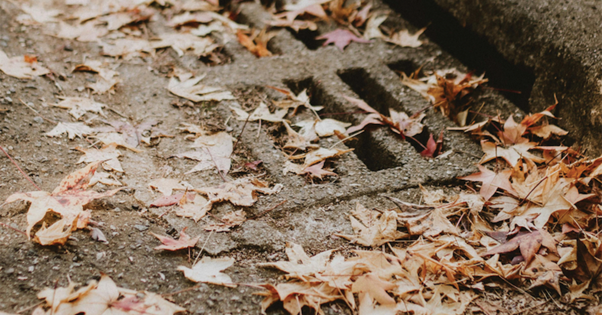 Early Warning Signs of Water &amp; Sewer Line Issues in Commercial Properties