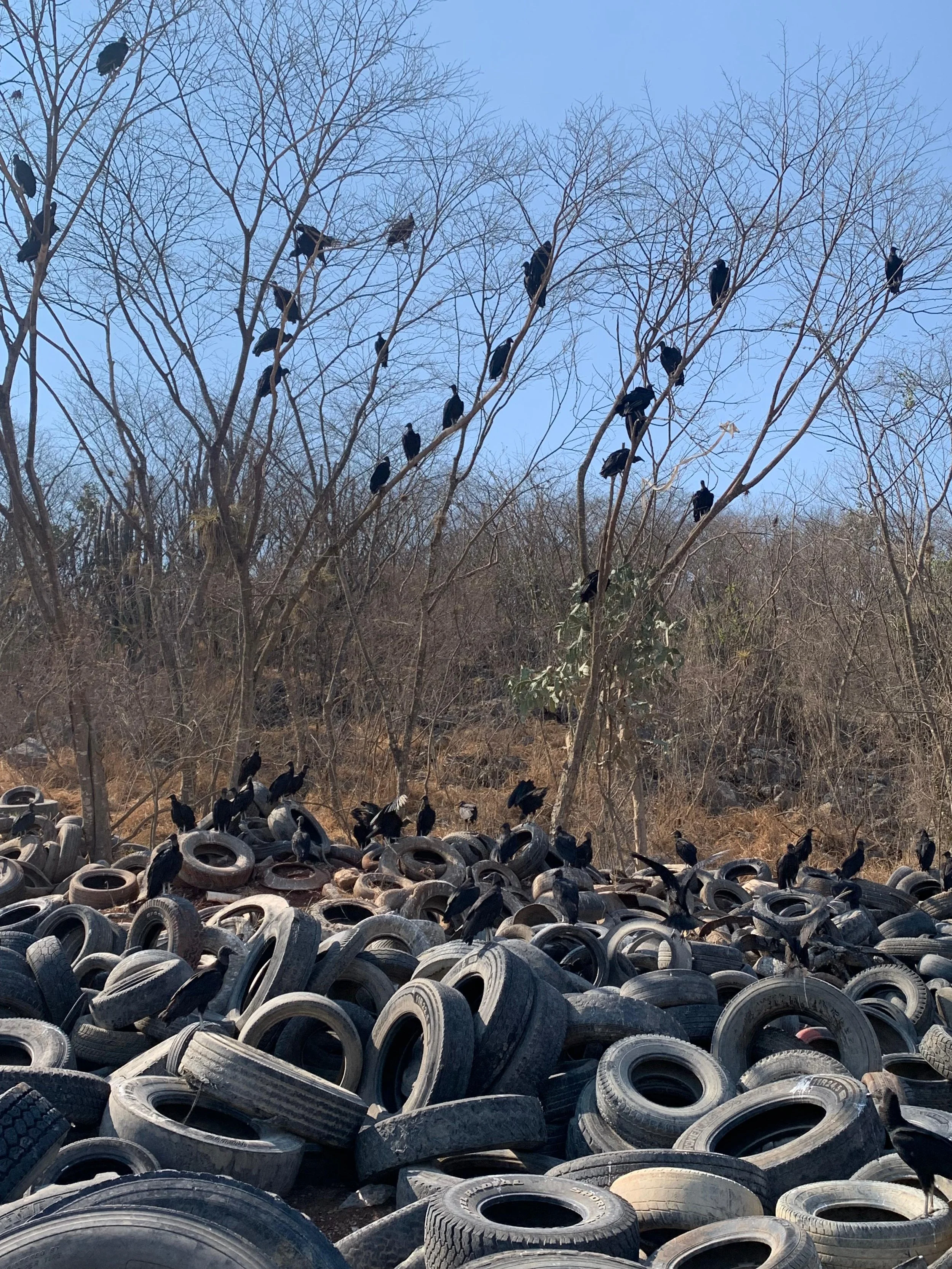 Todo el mundo y el aire 