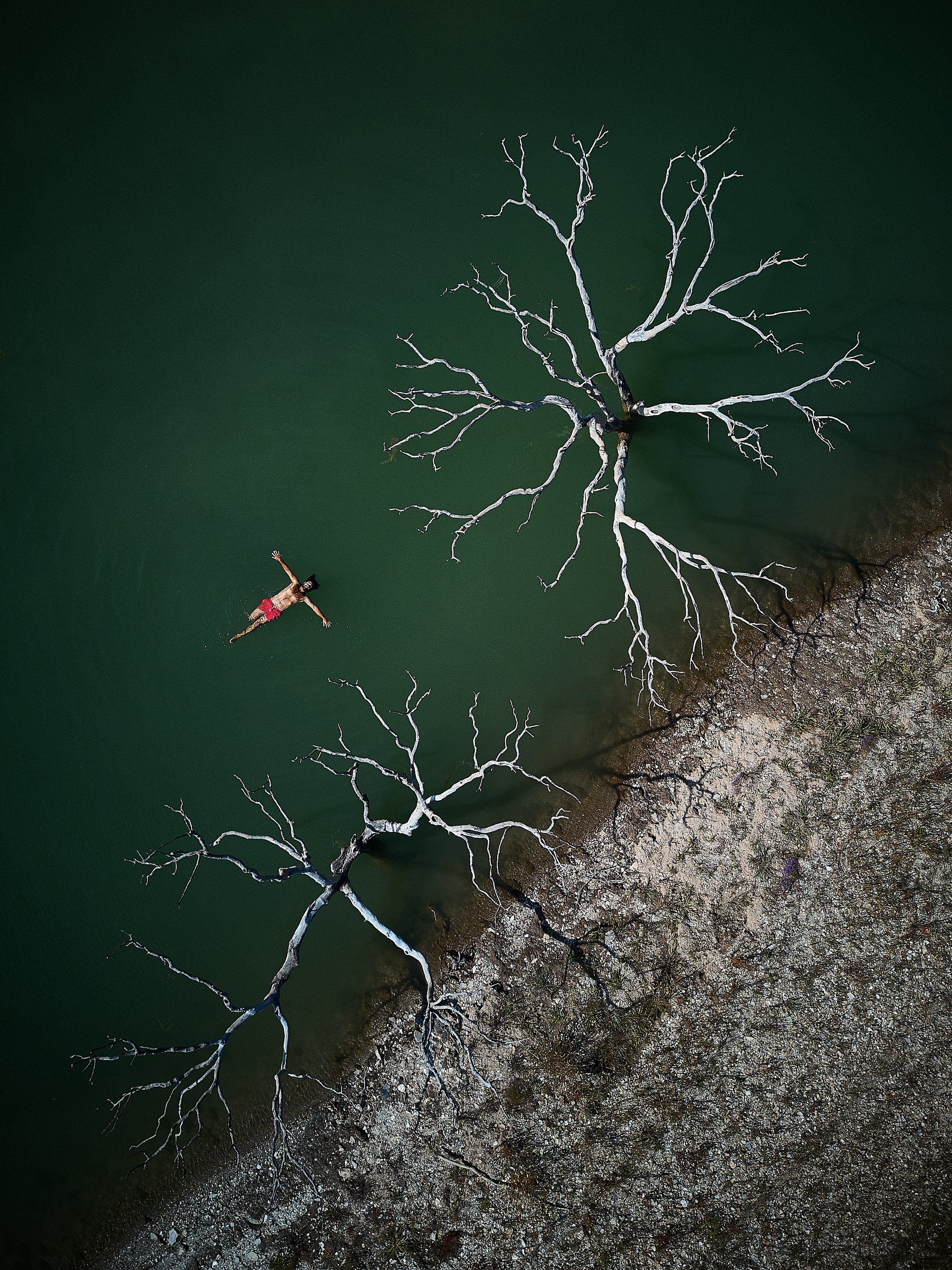 Eine Person liegt im Wasser nahe am Ufer, neben zwei kitz-limettenfarbenen, toten Bäumen, die auf dem Wasser treiben.