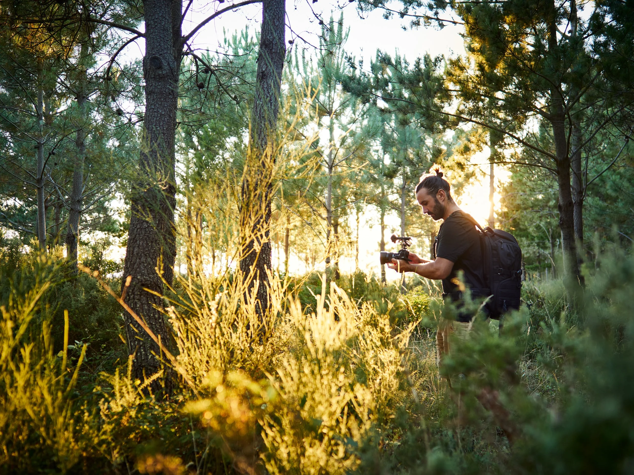 Ein Mann filmt in einem Sonnenuntergang im Wald mit einer Kamera und Rucksack, umgeben von hohen Bäumen und dichten Büschen.