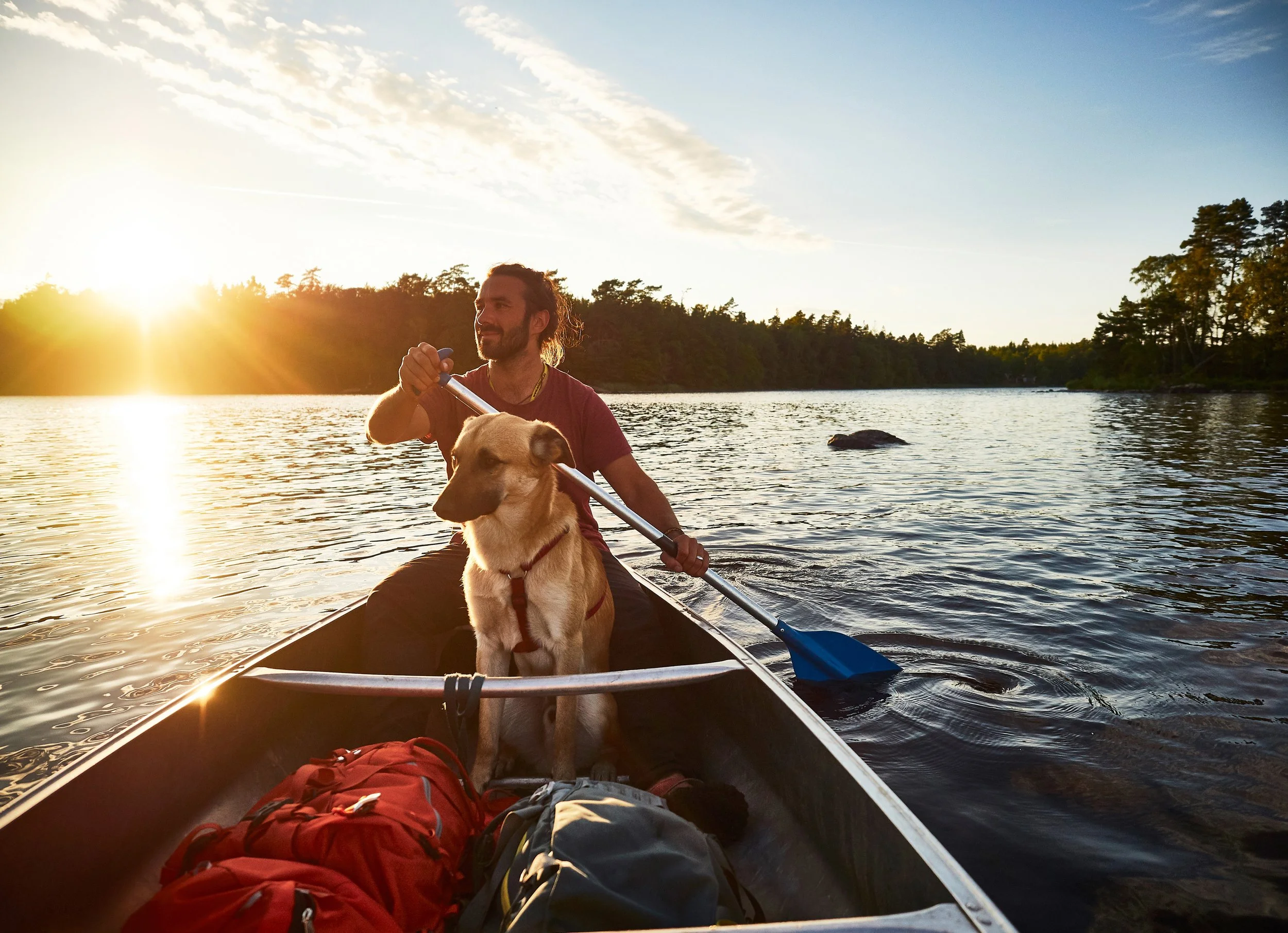Ein Mann fährt mit einem Kanu auf einem ruhigen Fluss bei Sonnenuntergang, begleitet von seinem Hund.
