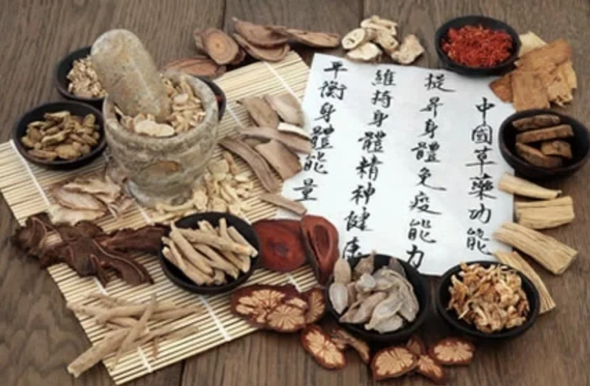 Astrid Schachinger Kirchham TCM