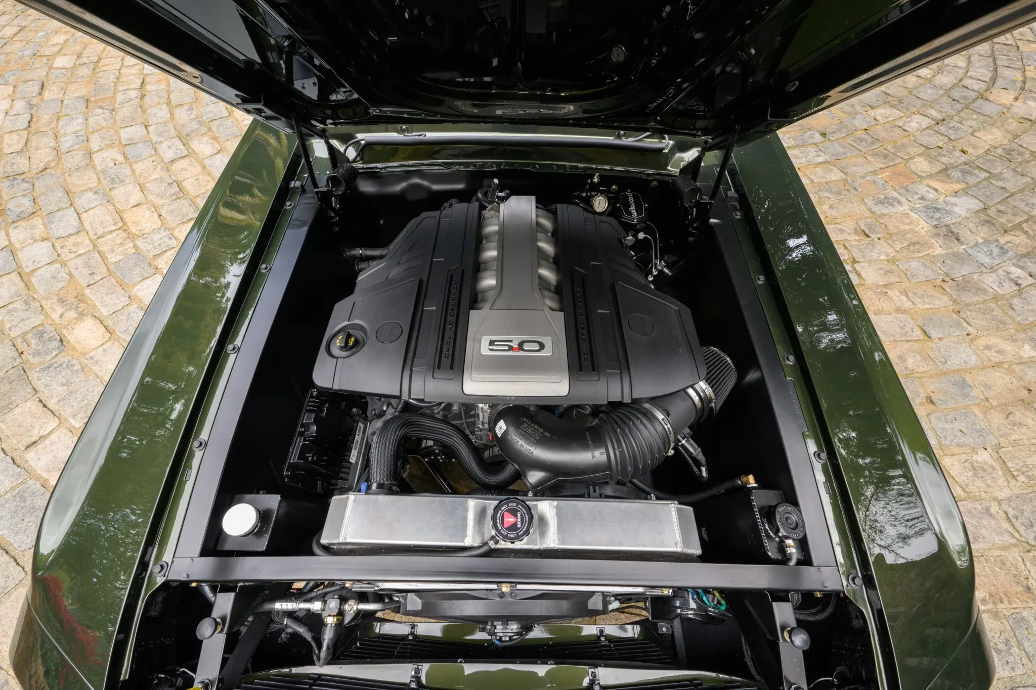 68-Mustang-78-06661-scaled.webp