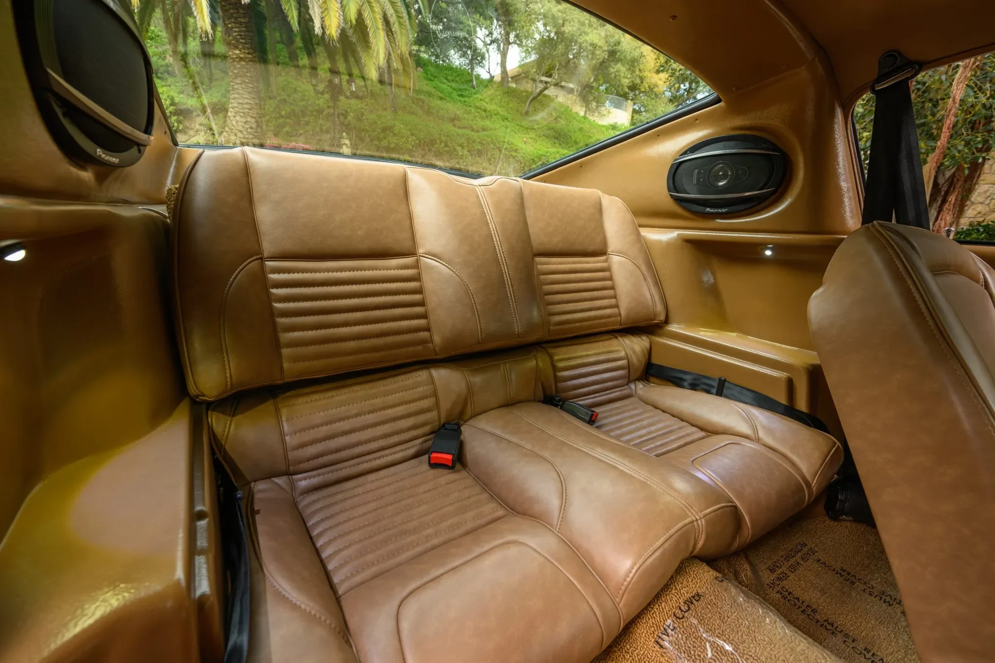 68-Mustang-58-06488-scaled.webp