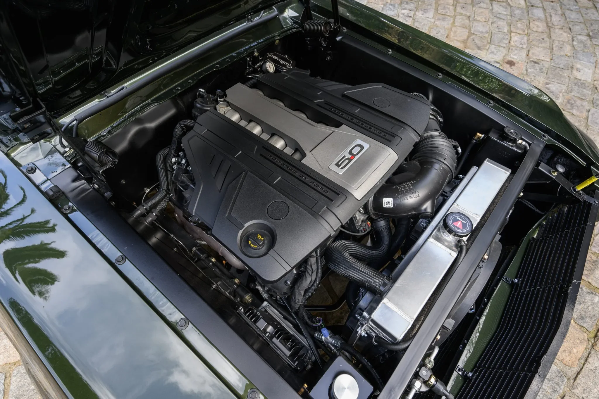 68-Mustang-89-06754-scaled.webp