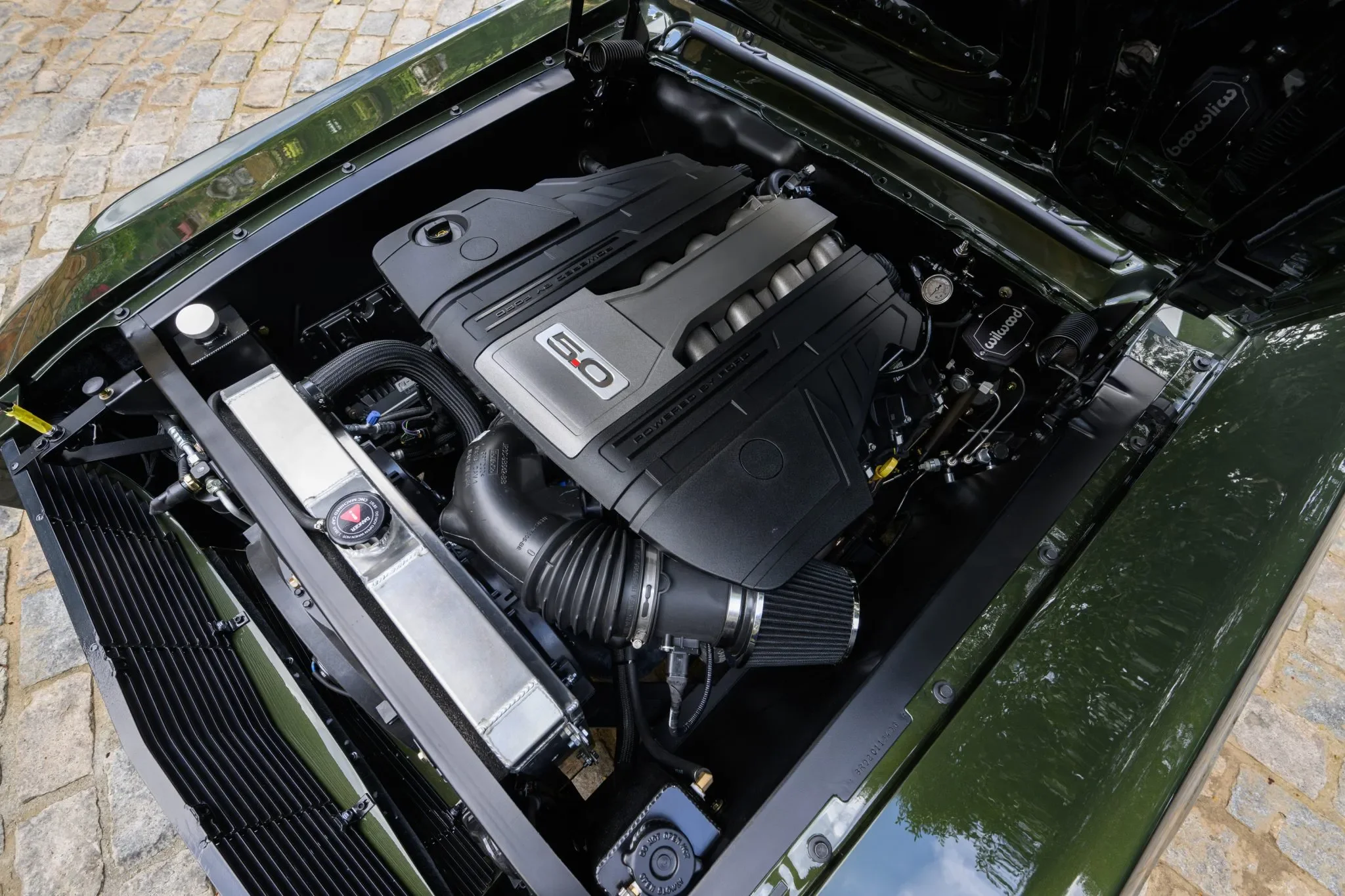 68-Mustang-84-06713-scaled (1).webp