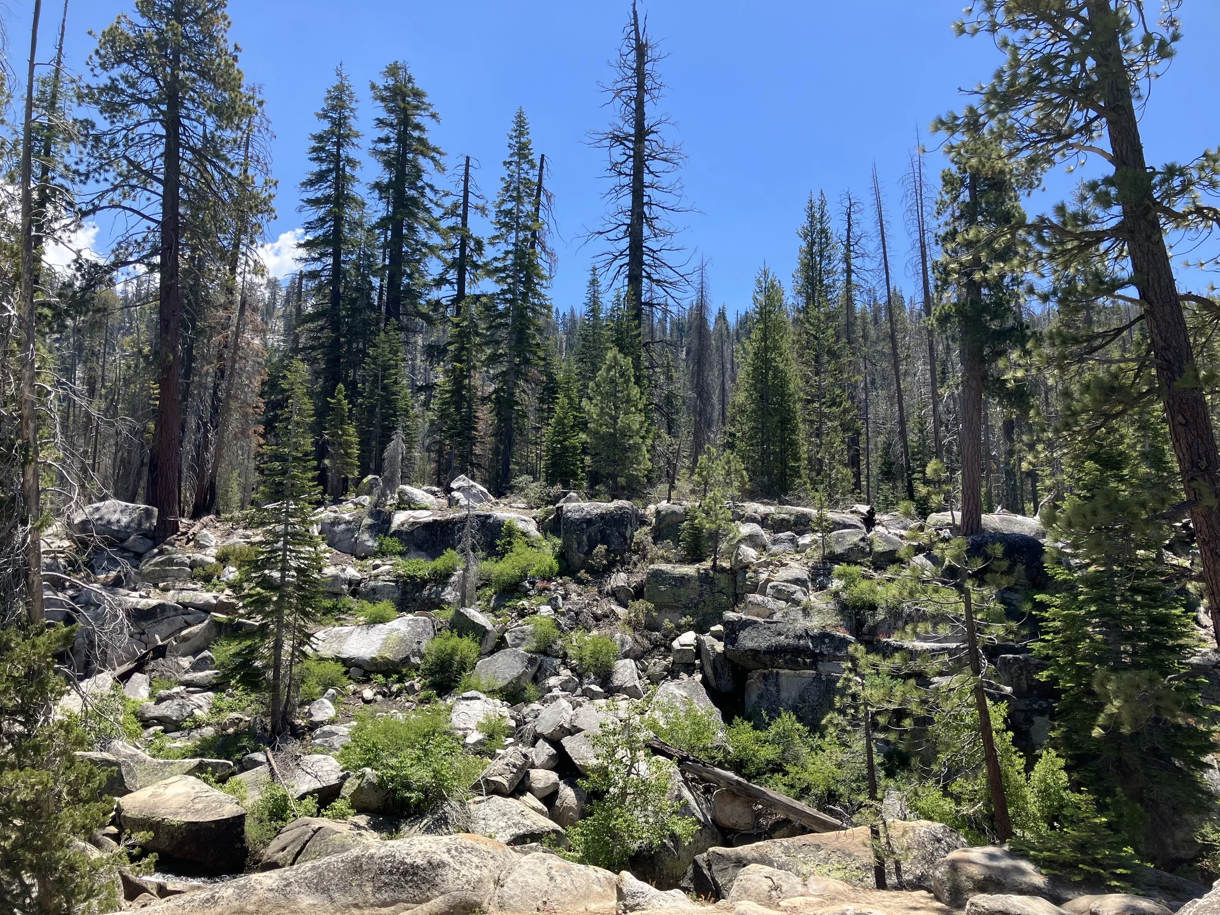 IMG_5009.jpeg