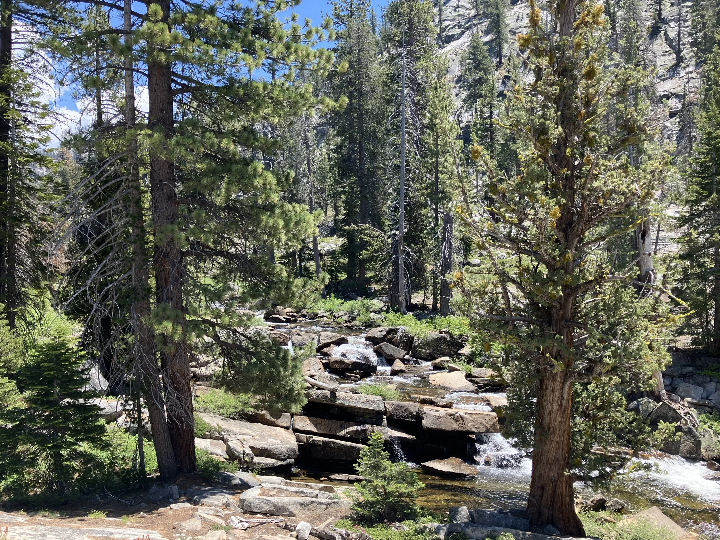 IMG_5016.jpeg