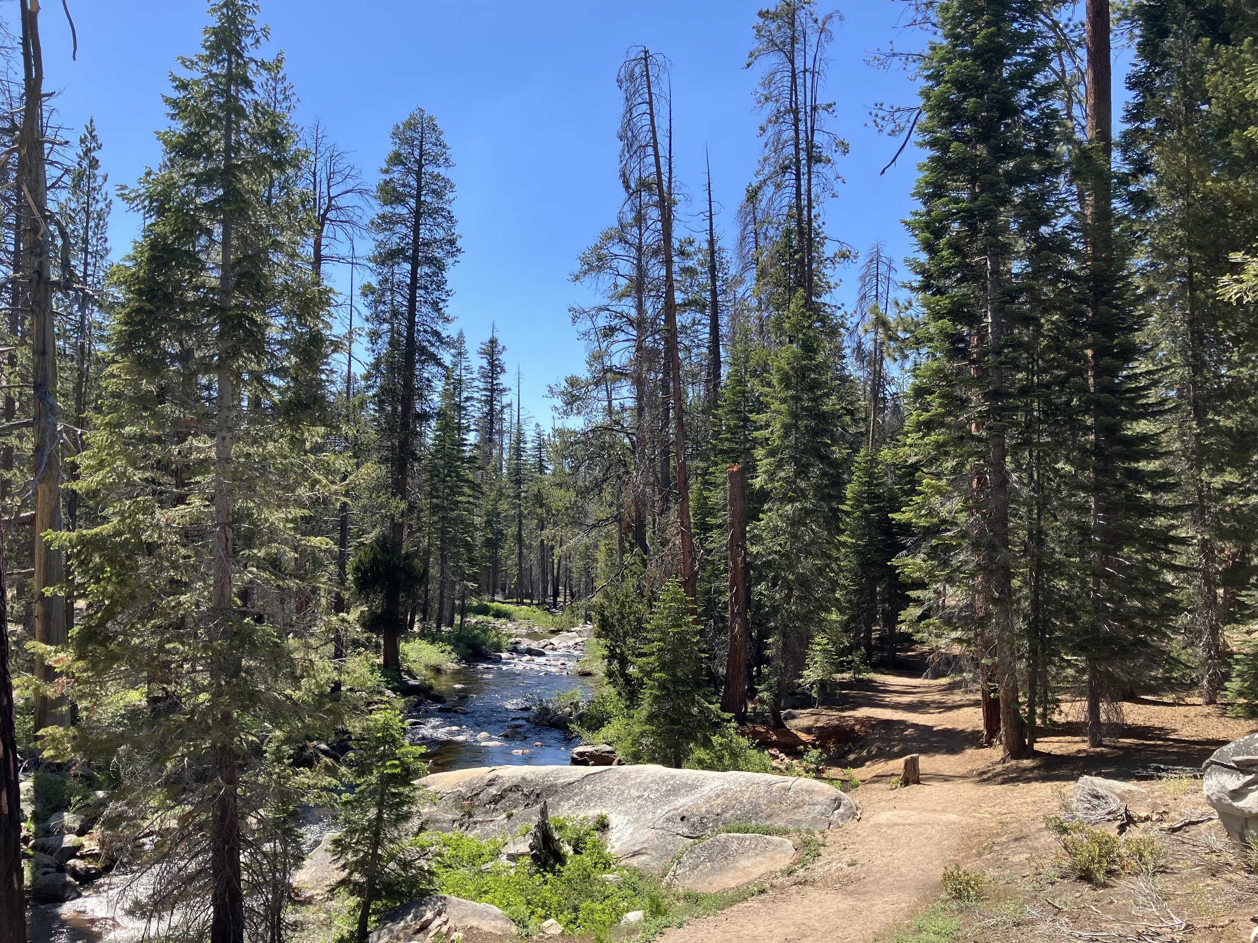 Indian Pools Trail