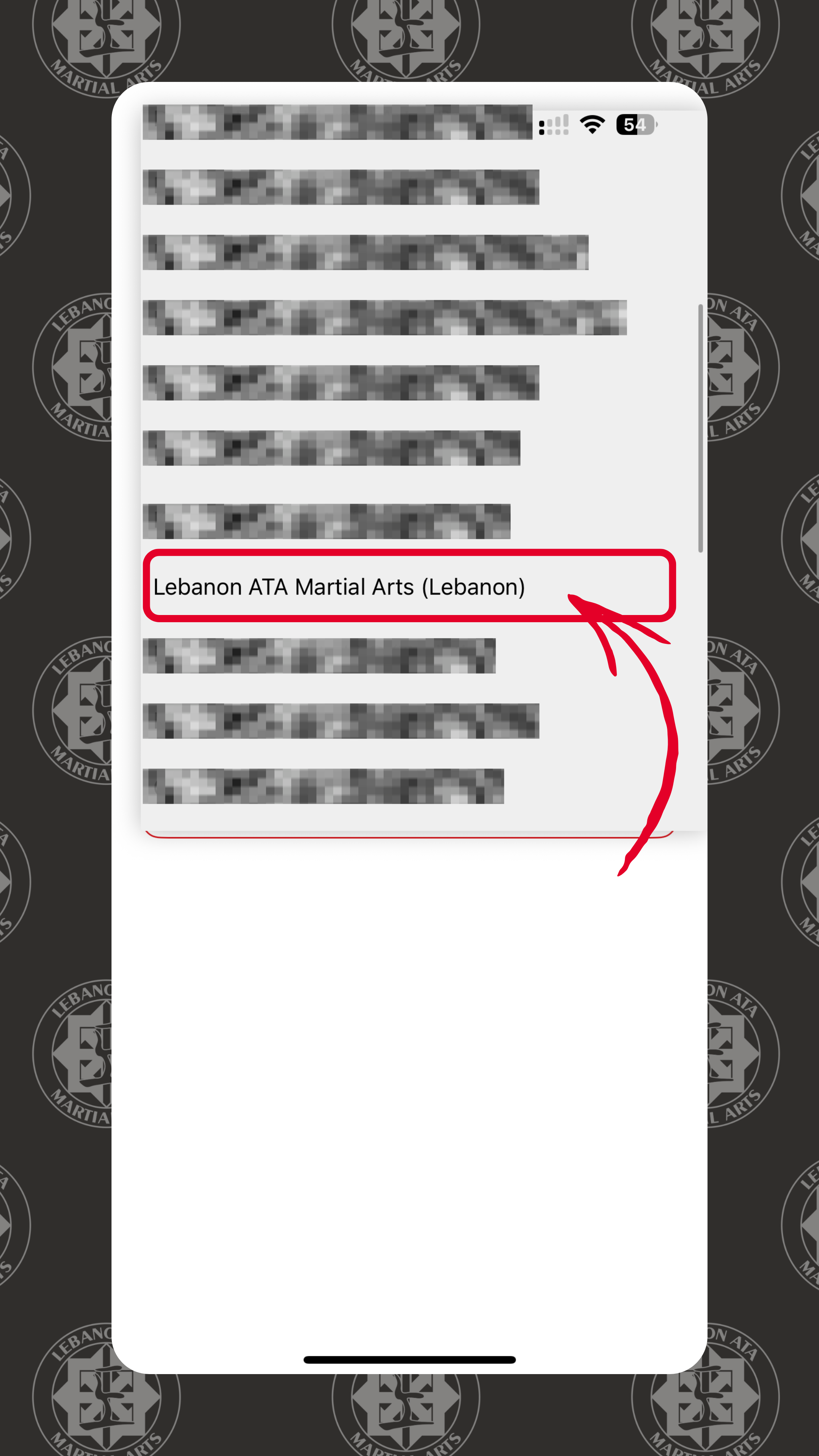 AddingLebanonATAMemberAppStep3.png