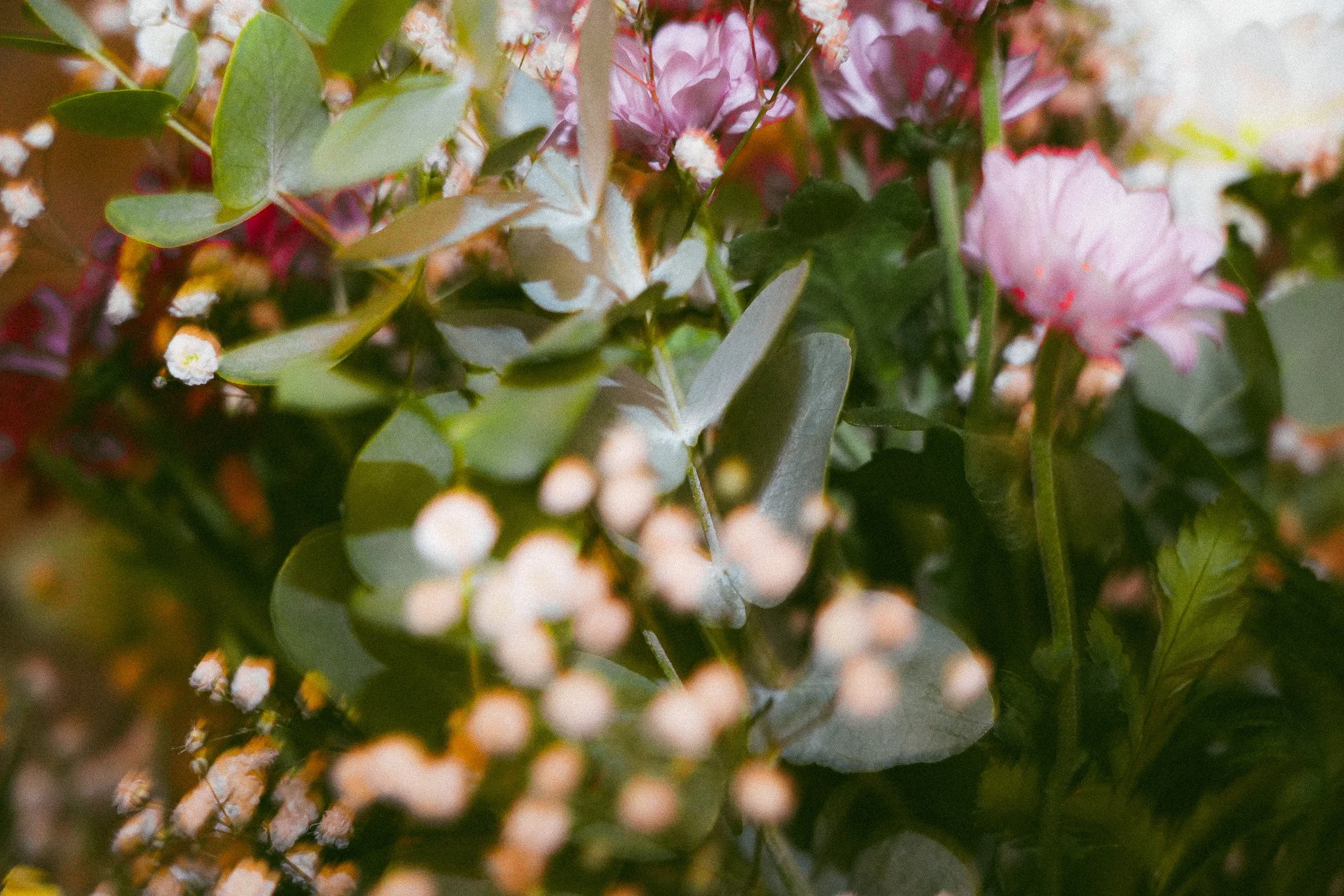Ramo de flores y hojas verdes, con pequeñas flores blancas y rosadas.