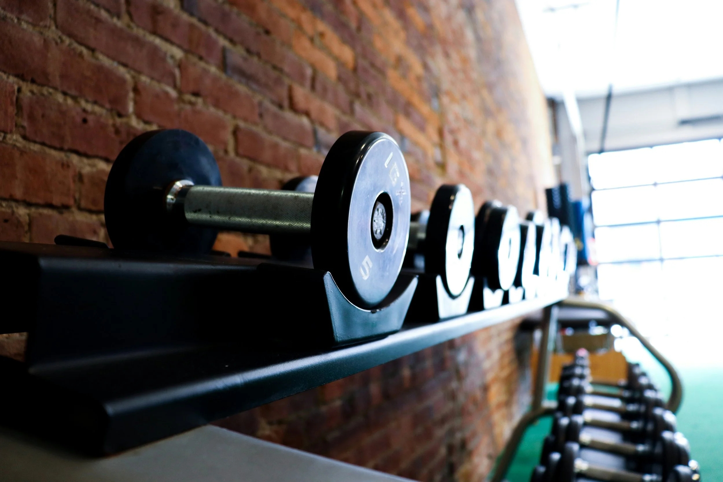 The REDs-Hormone Connection by Macy Davis