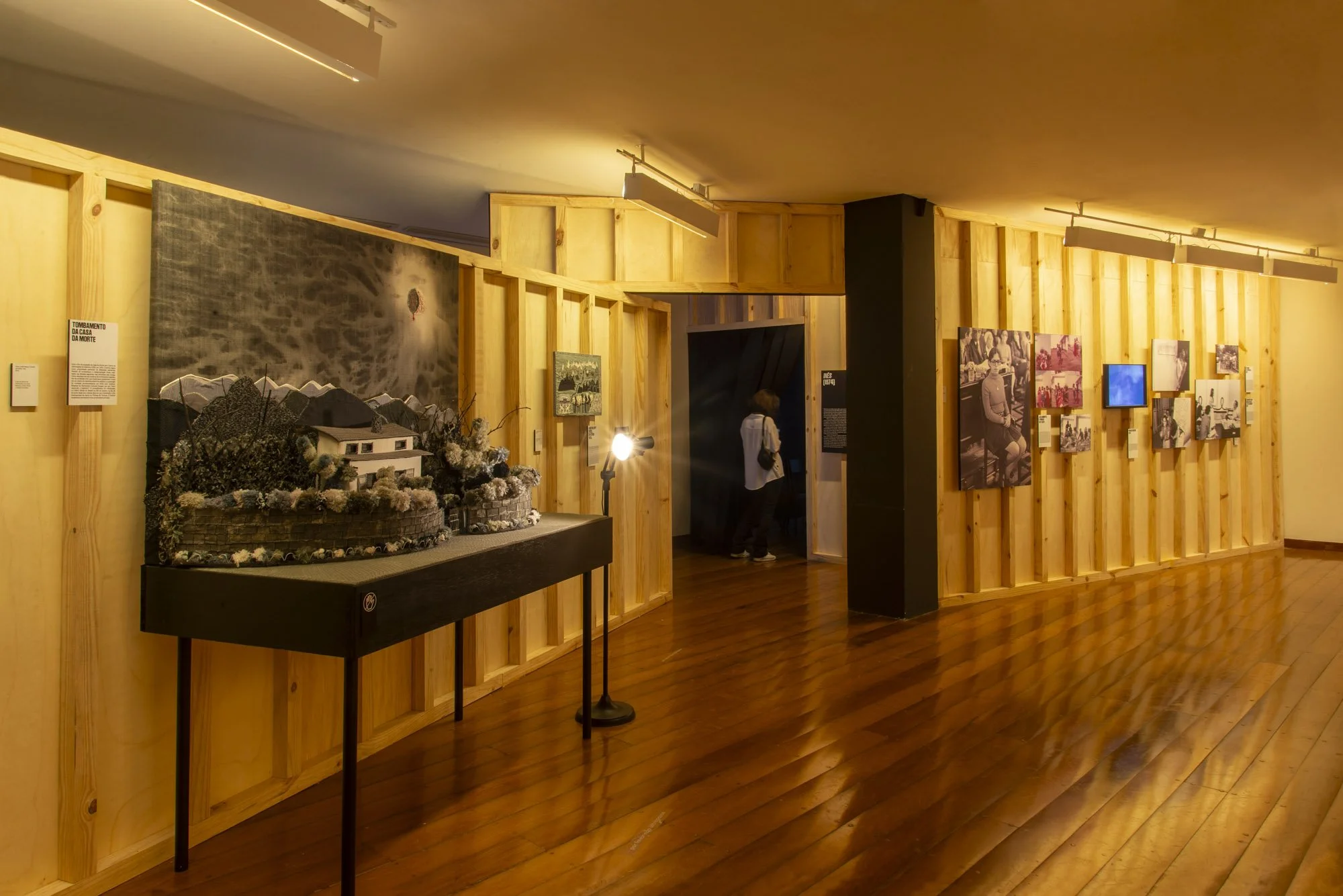 GOMA_MULHERES EM LUTA_MEMORIAL_LAURO ROCHA 19_.jpeg