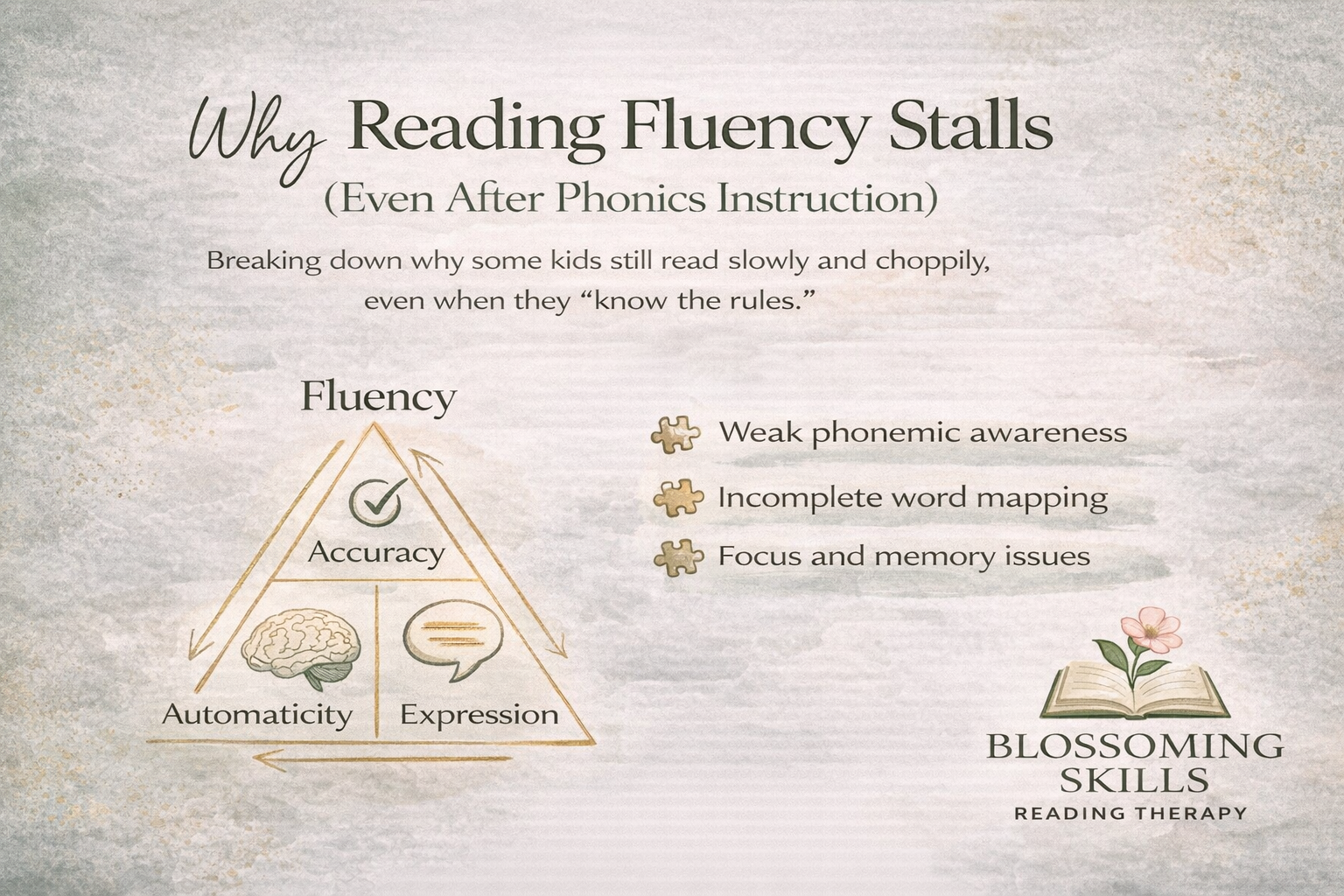 Why Reading Fluency Stalls (Even After Phonics Instruction)