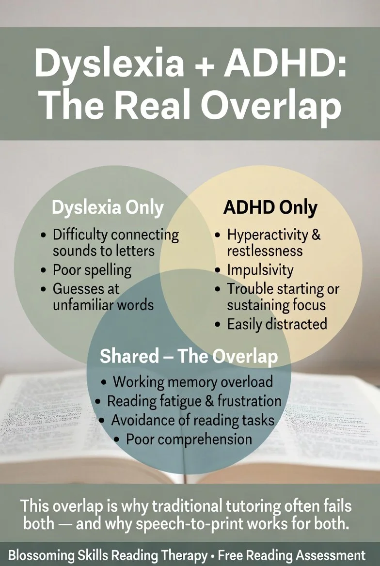 Dyslexia + ADHD: How the Two Overlap and the One Approach That Actually Helps Both (2026 Parent Guide)