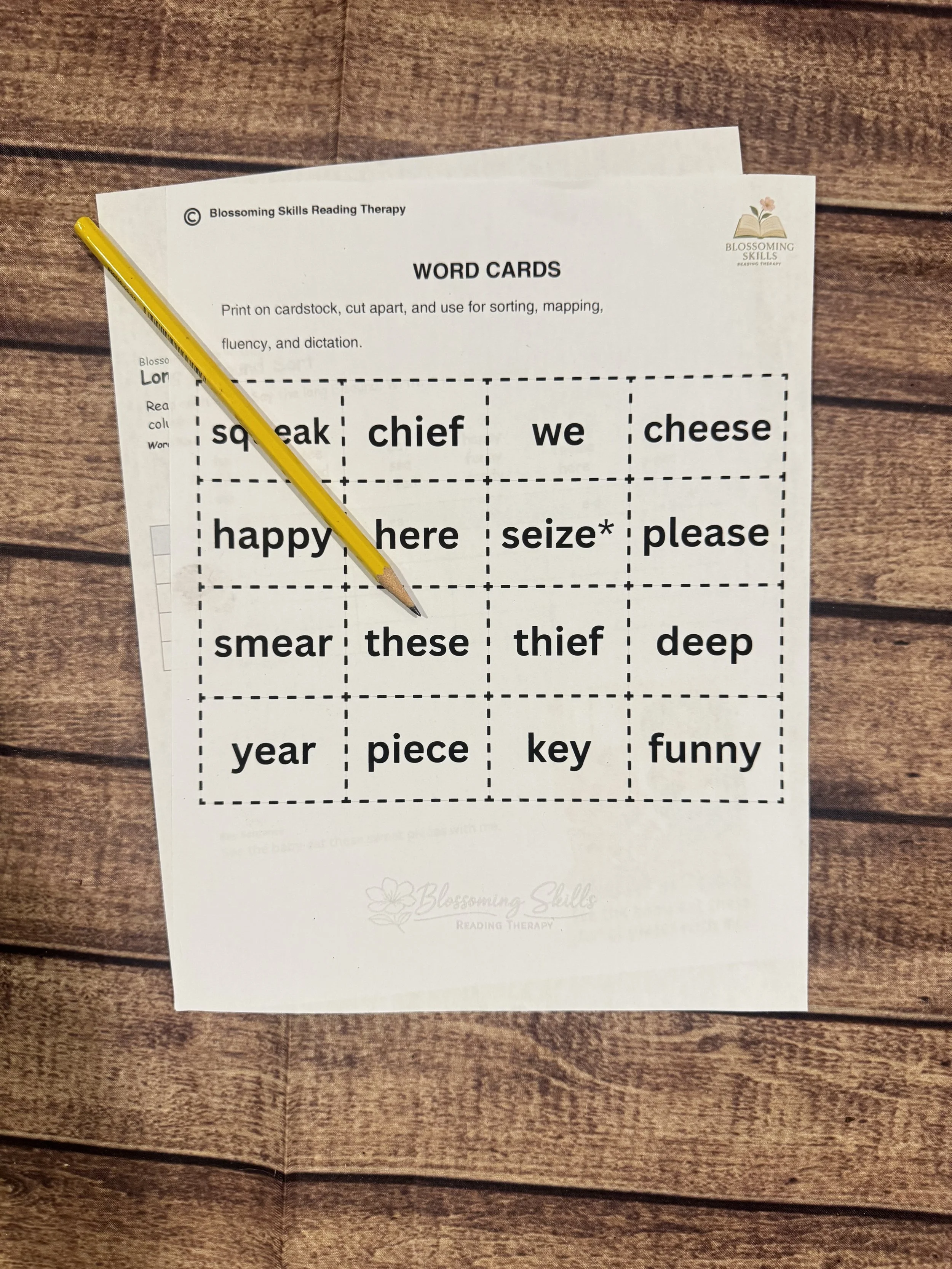 Long E Word Mapping System | Fluency & Automaticity Intervention