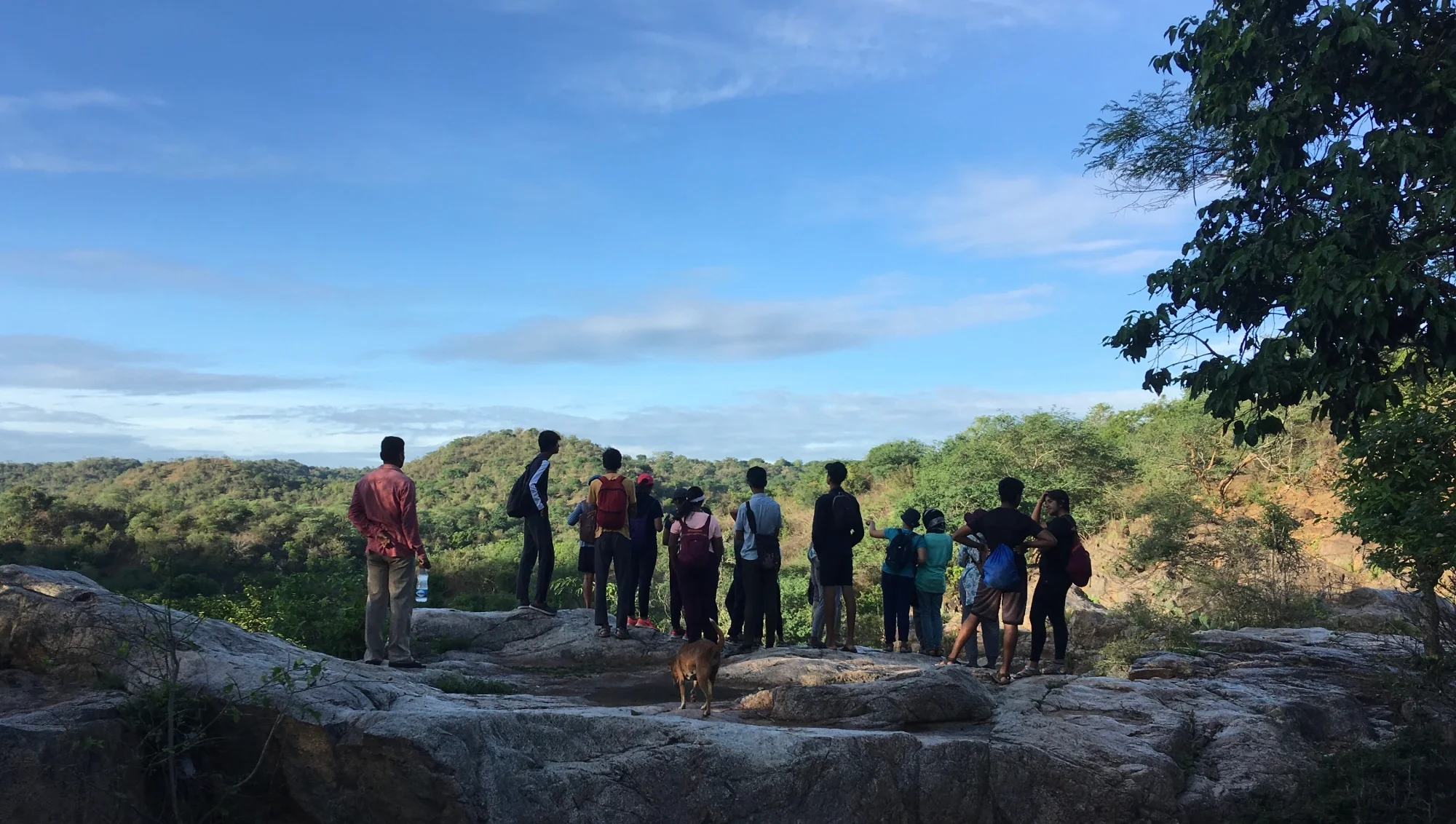 The Road that Lead to SatVan: A Centre for Nature and Harmony