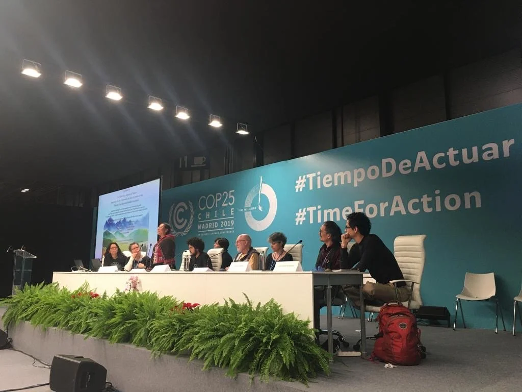 Reflections on COP&nbsp;25