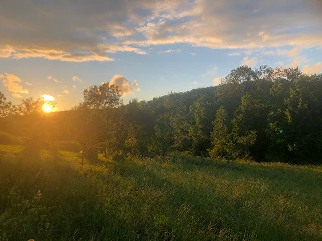 Inner Dimensions of Climate Change &amp; Regenerative Cultures