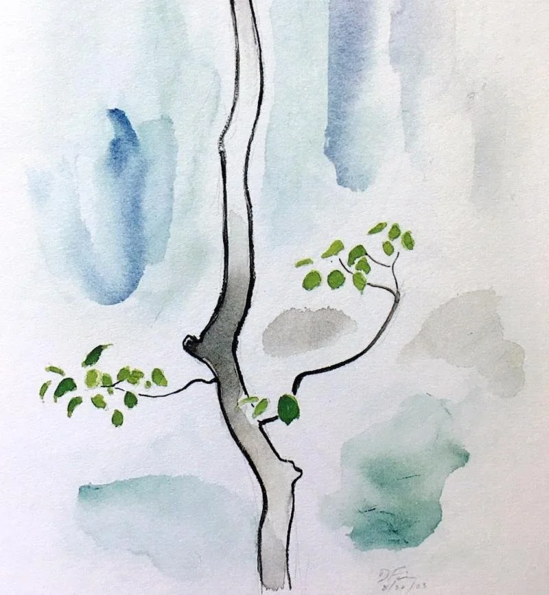 Three Questions with Dena Merriam and Village Wisdom