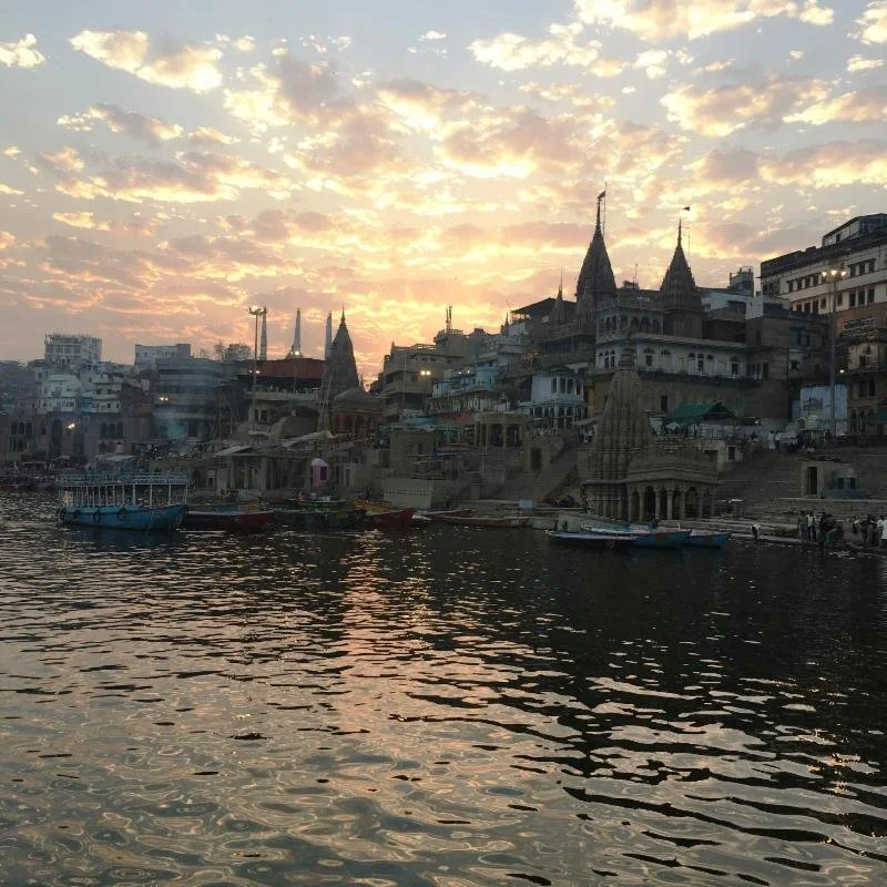 Cyprus and Varanasi - Young Ecologists Meet