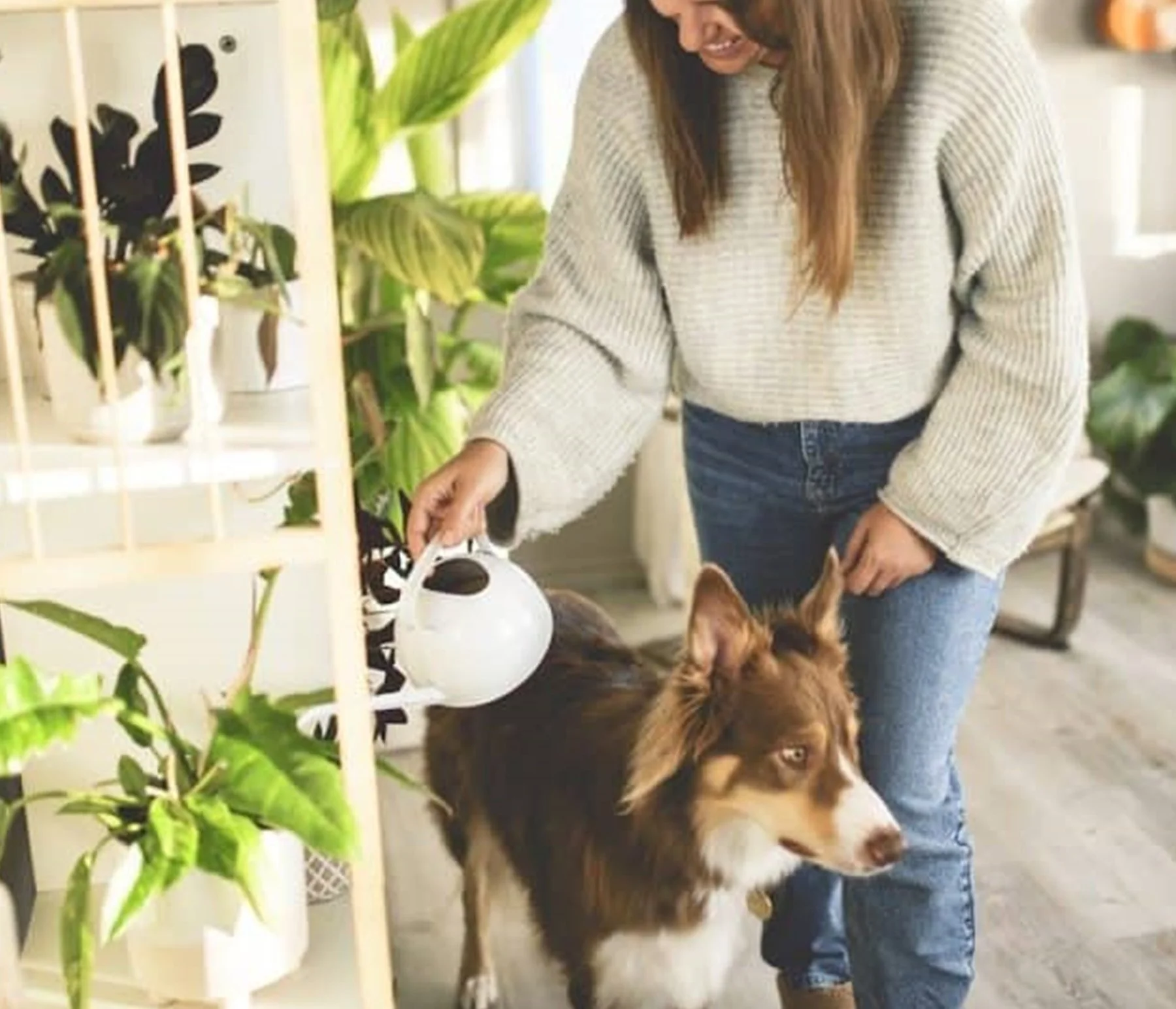 "Not Quite" Overnight