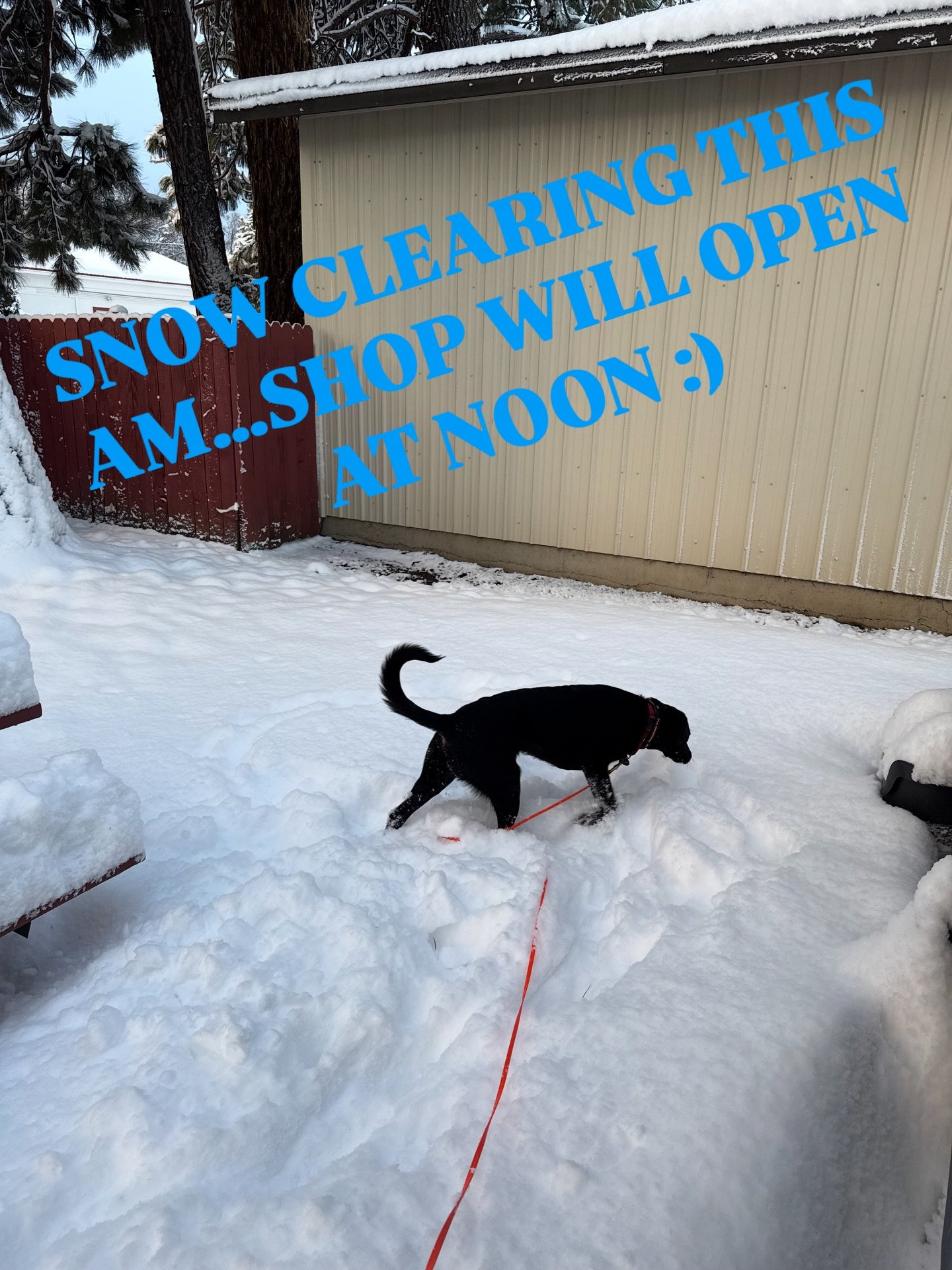 I wish Echo was better at snow removal. 😆😆😆. see yall at noon