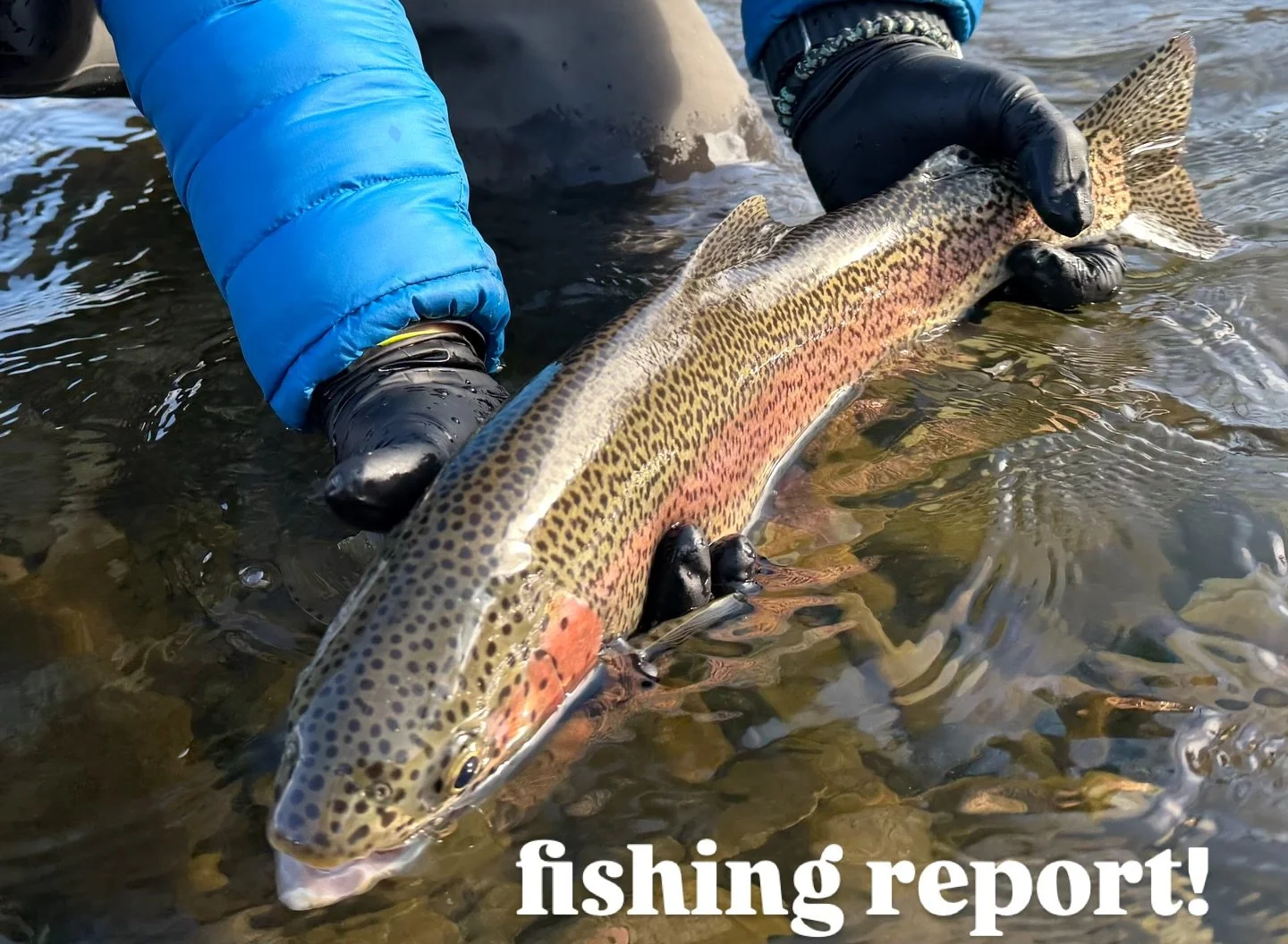 Still winter fishing but we&rsquo;ve got some warmer days coming up, so might be worth a quick trip over to come fish with some of our guides!!

If you want to come over DIY be prepared for the cold and it might be worth it to call the shop to see wh