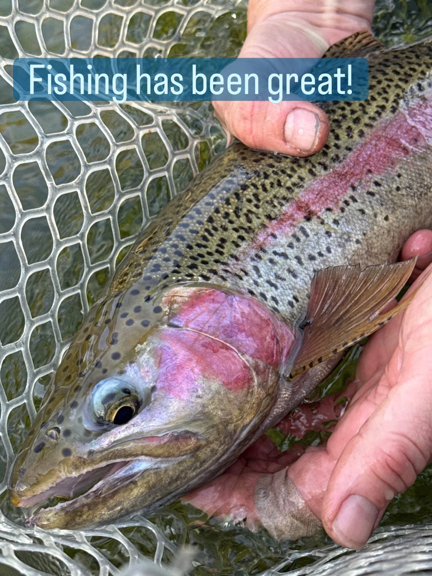 Crow Creek guide service has YOUR best fishing experience in mind.  Book a trip with us and we will show you what that is like!