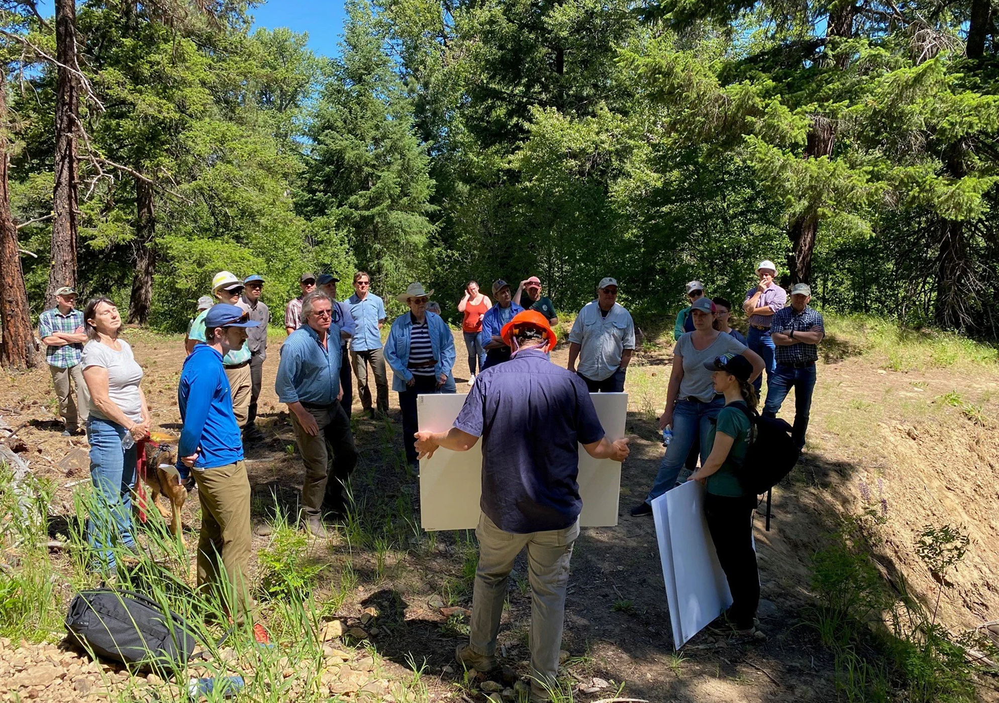 Group of people outdoors in a forest, gathered around a person holding large boards, during a presentation or discussion.