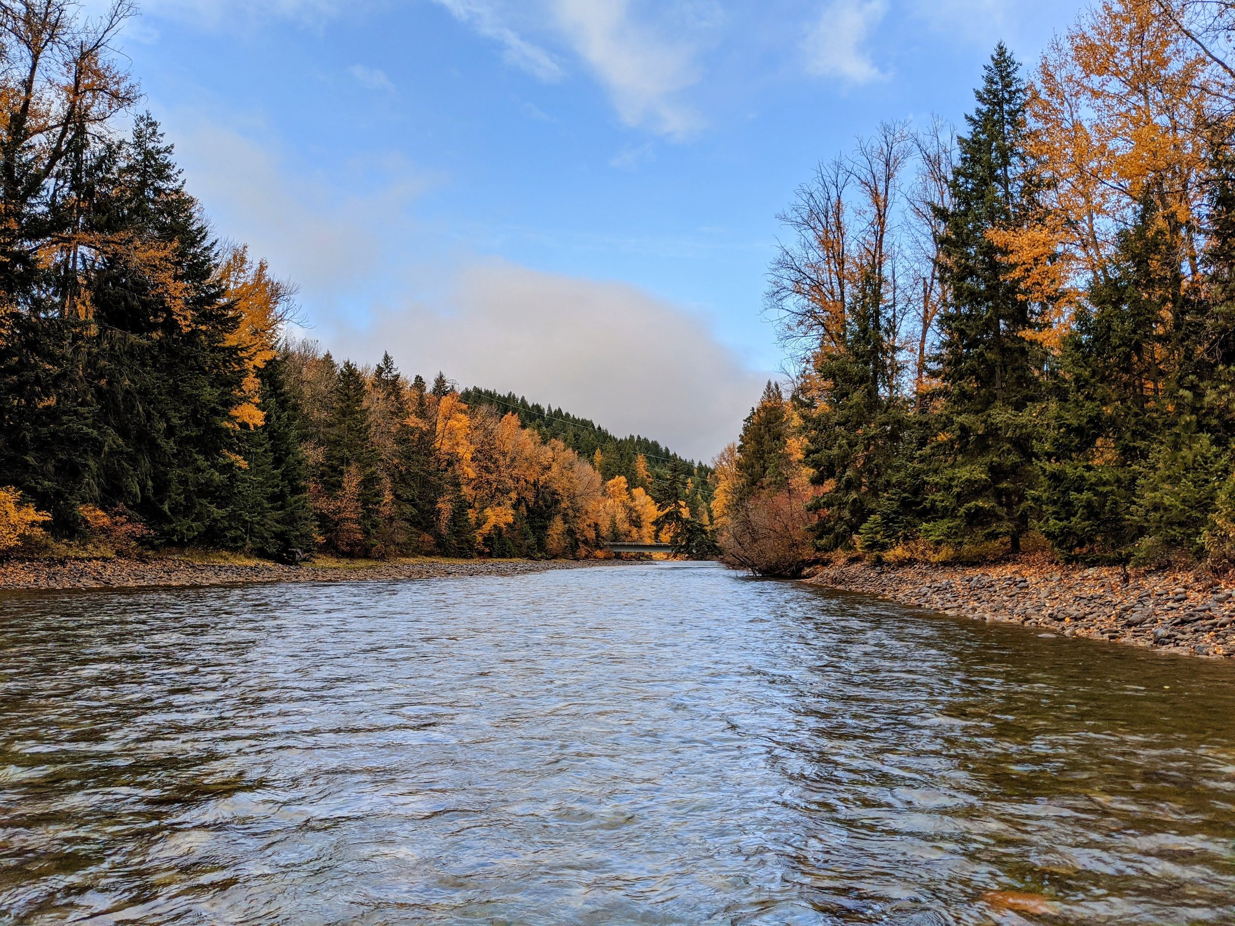 A river flowing through a forest with trees in autumn colors under a partly cloudy sky.